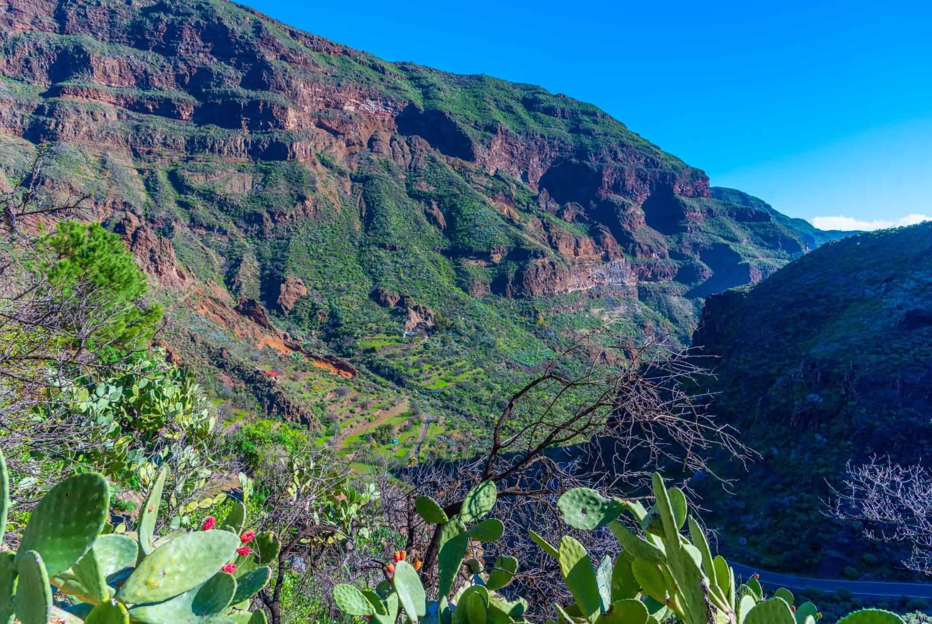 gran canaria quand partir aux canaries