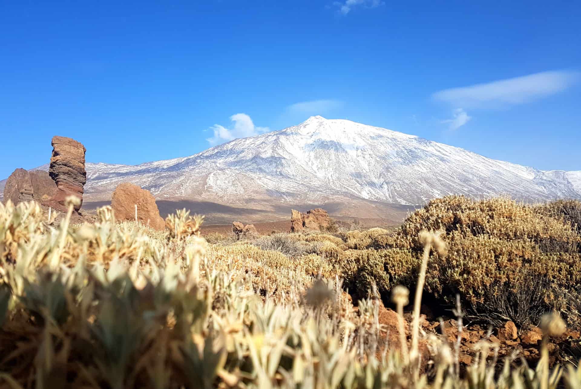 hiver canaries iles hiver