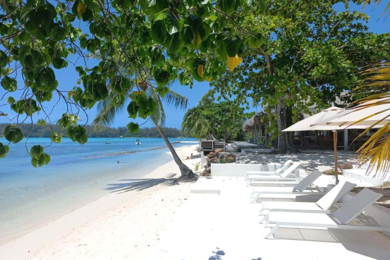 moorea island beach hotel ou dormir