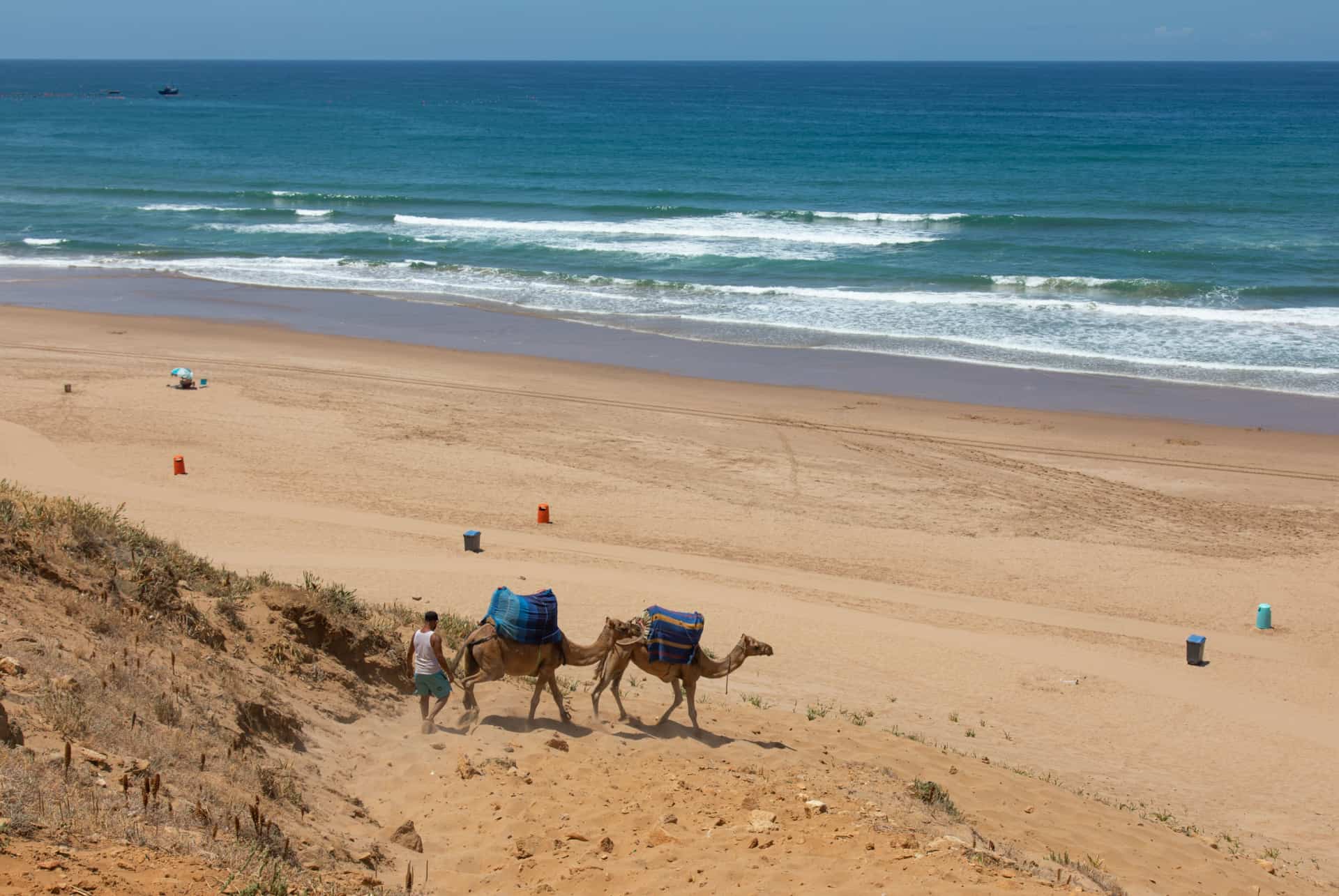 que faire a tanger balade en chameau