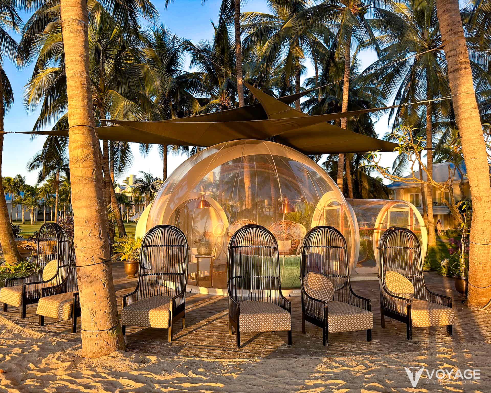 beauty bubble sugar beach beauty bubble sugar beach