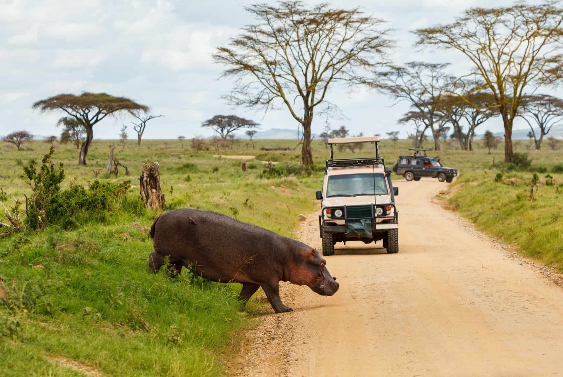 conduire en tanzanie