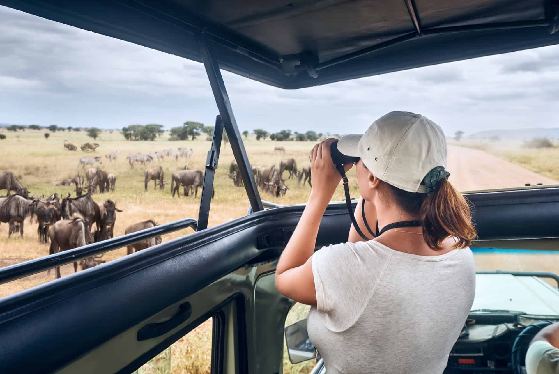 quand partir au kenya activites