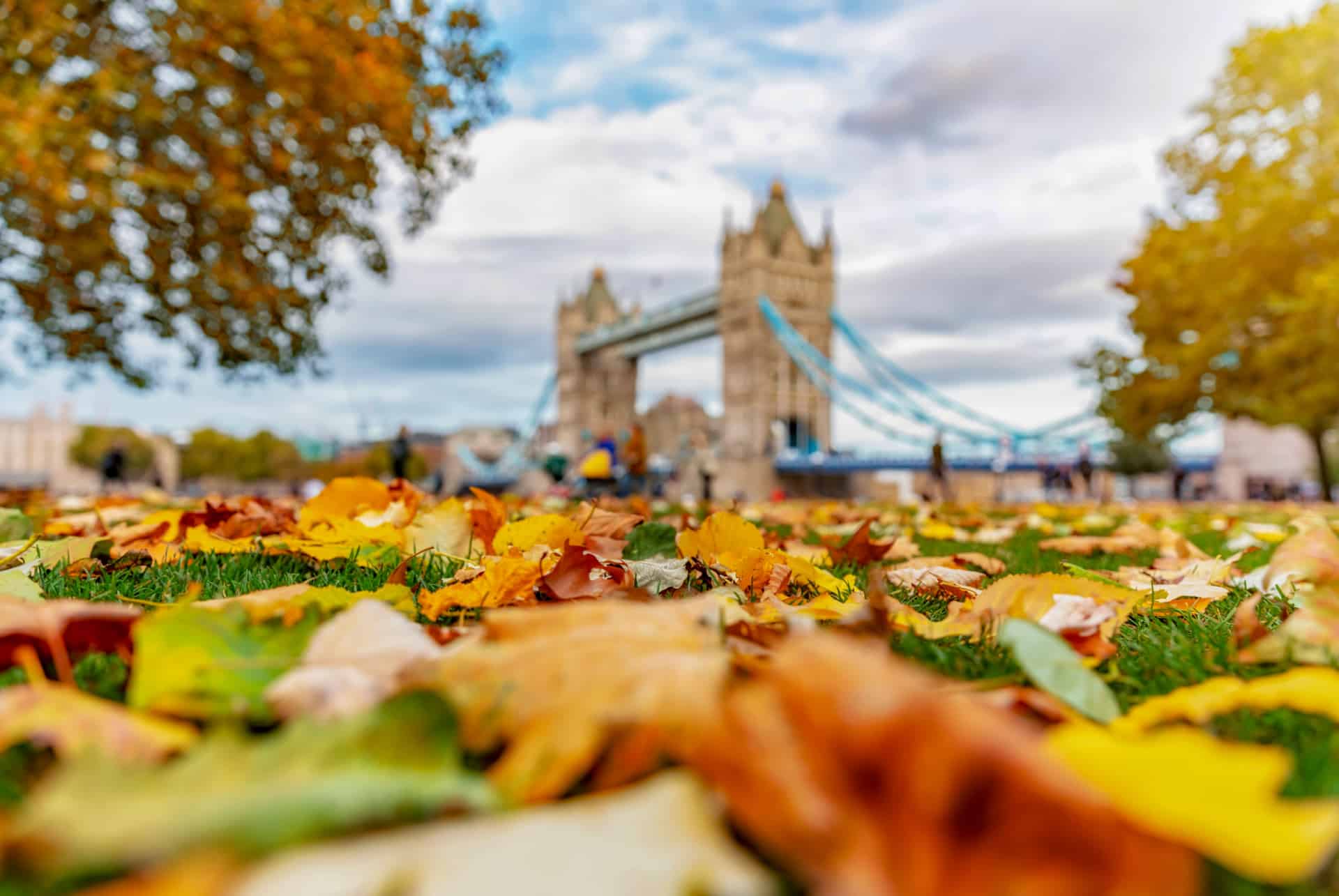 londres activites novembre londres activites novembre