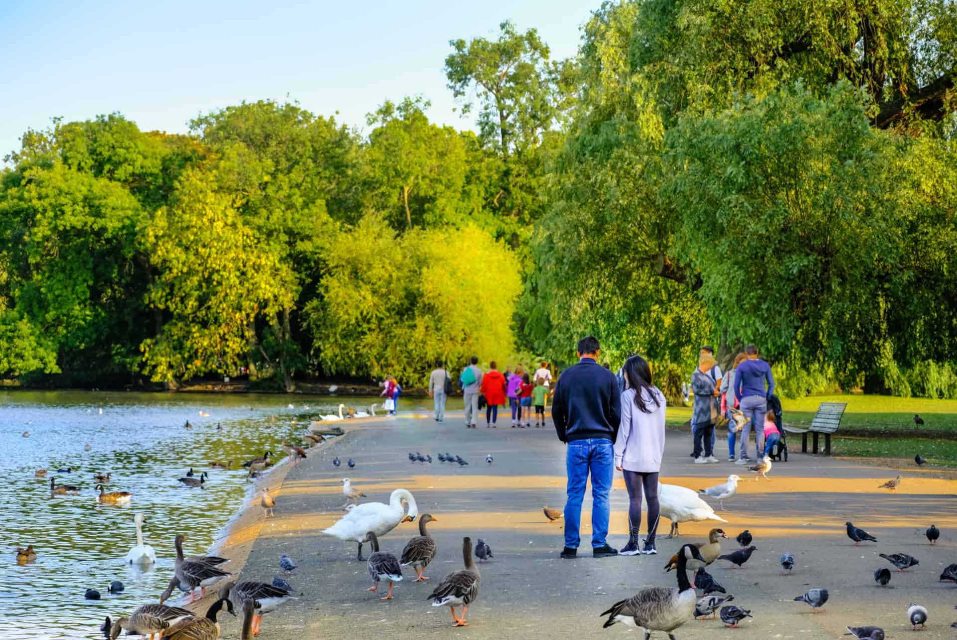 londres regents park londres regents park