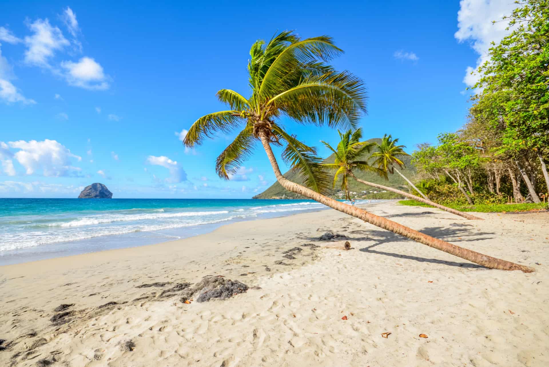 martinique plus belles plages