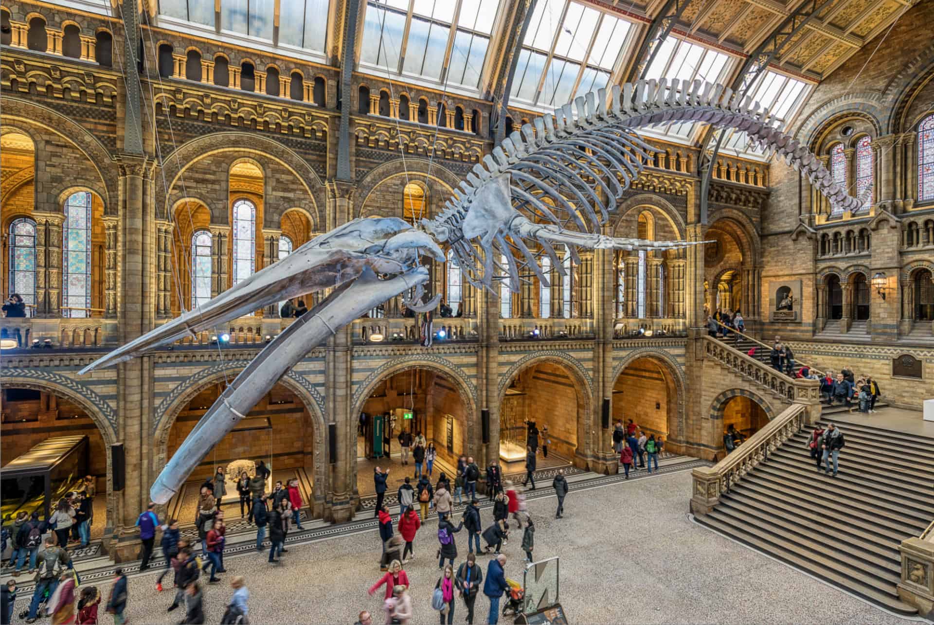 natural history museum london natural history museum london