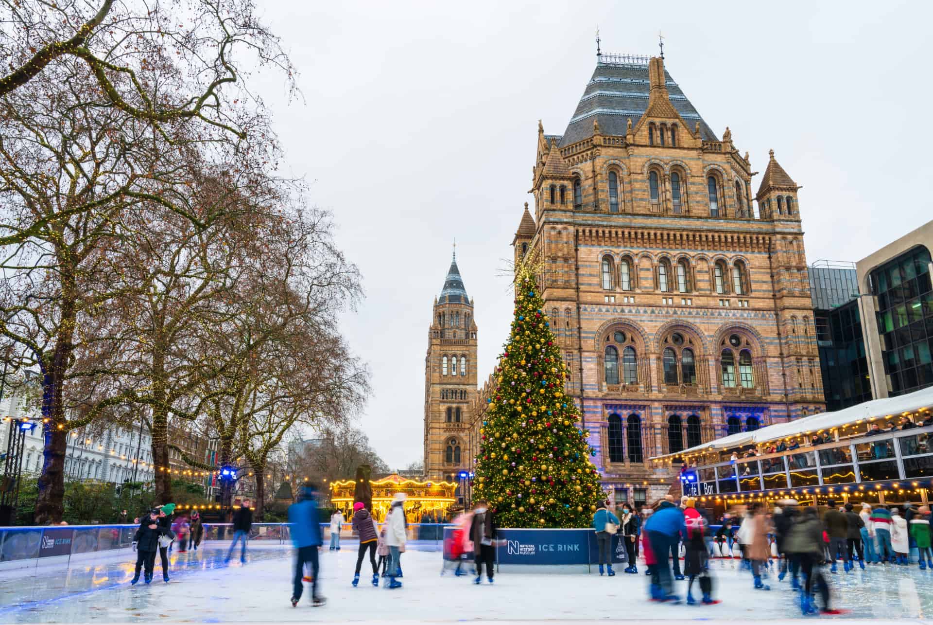 patinoire natural history museum londres patinoire natural history museum londres