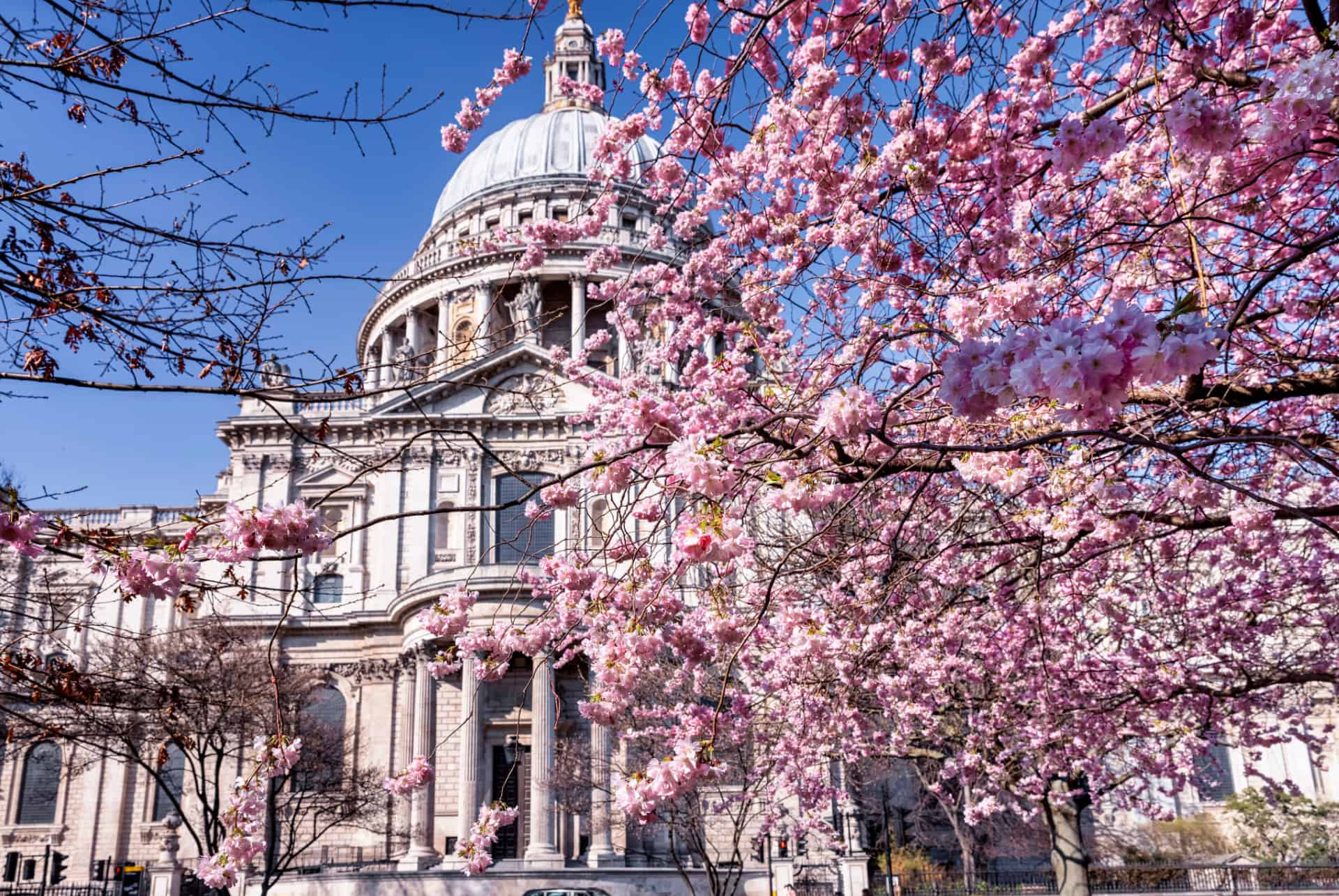 saint paul cathedral mai