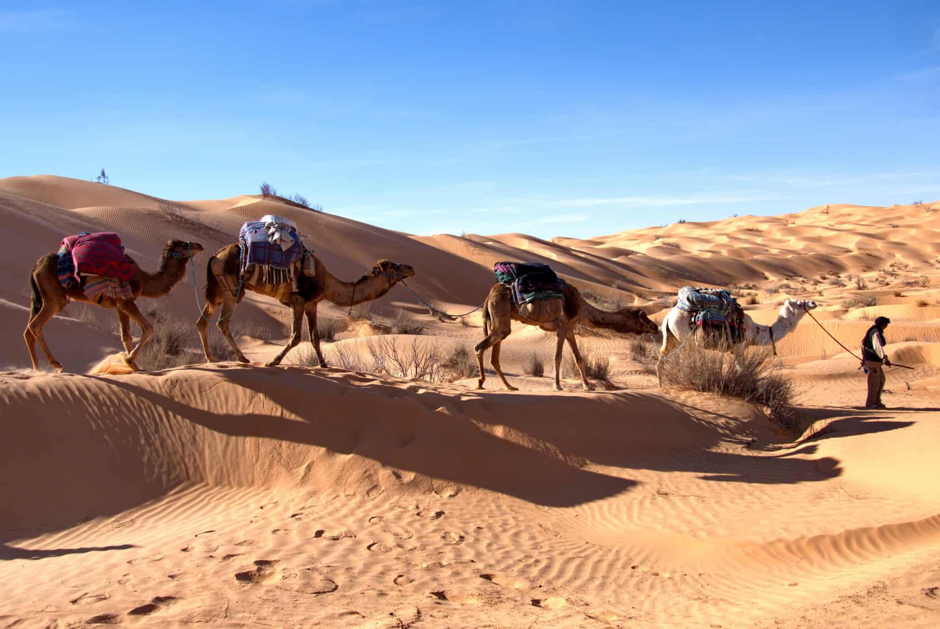 desert tunisie