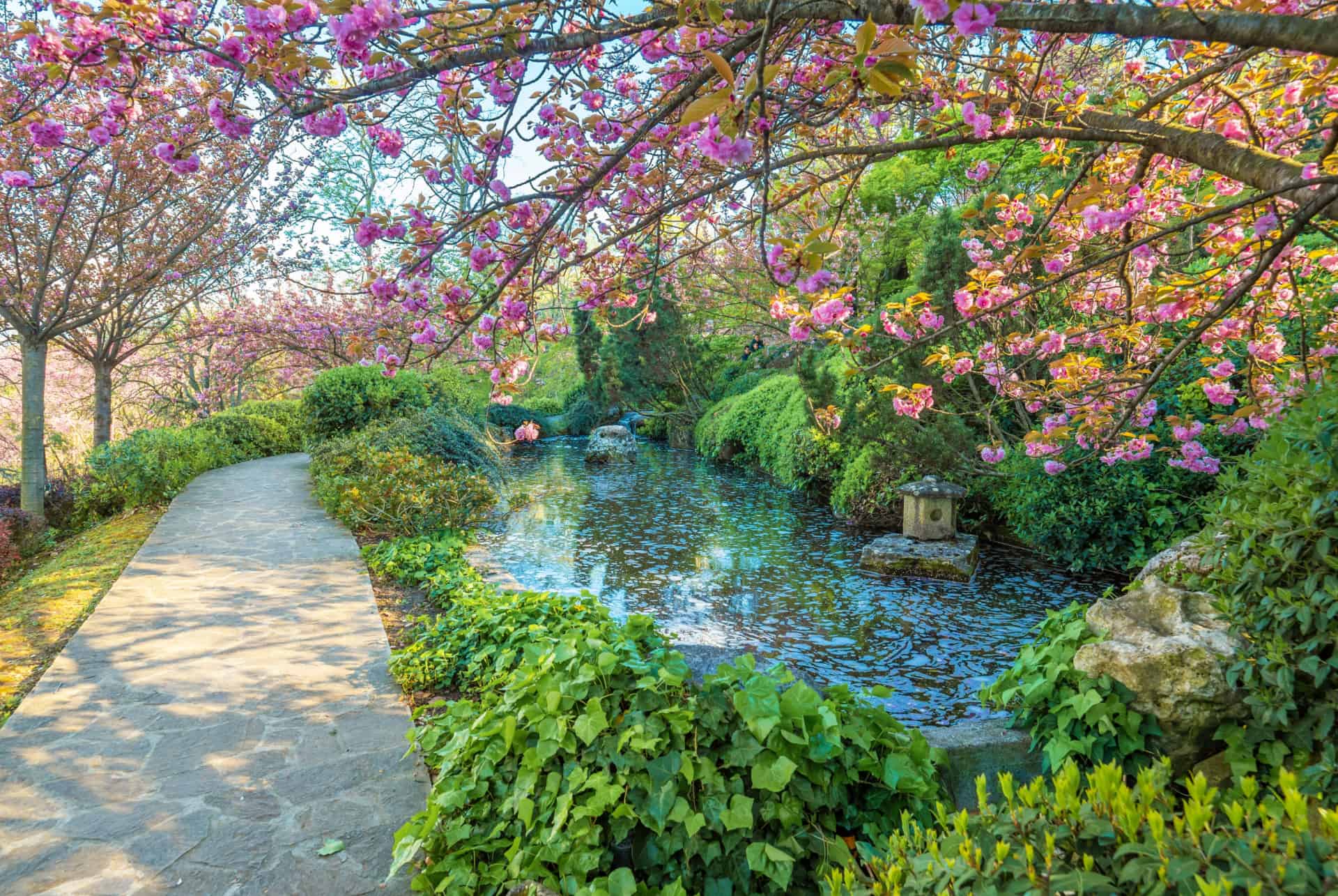 jardin botanique quartier trastevere rome