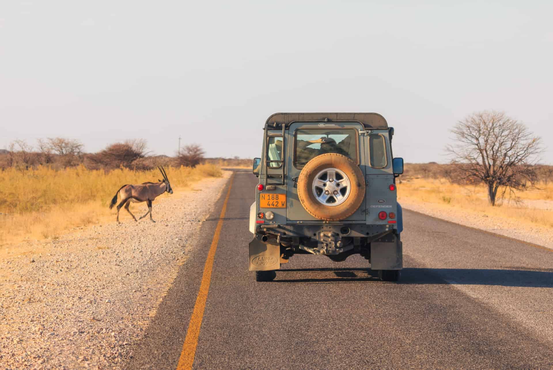 location de 4x4 en namibie