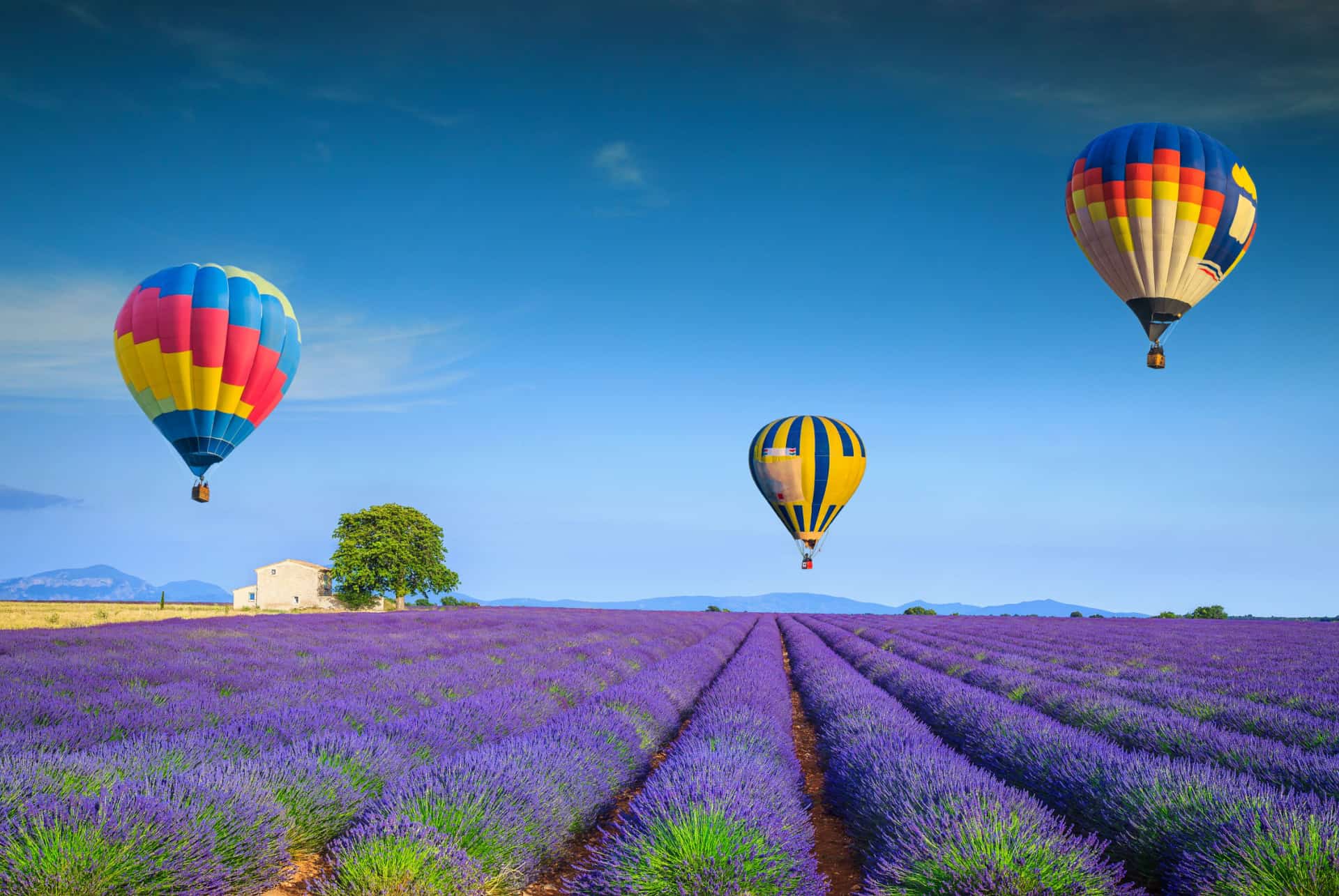 montgolfiere provence lavande meilleurs vols montgolfiere france provence lavande