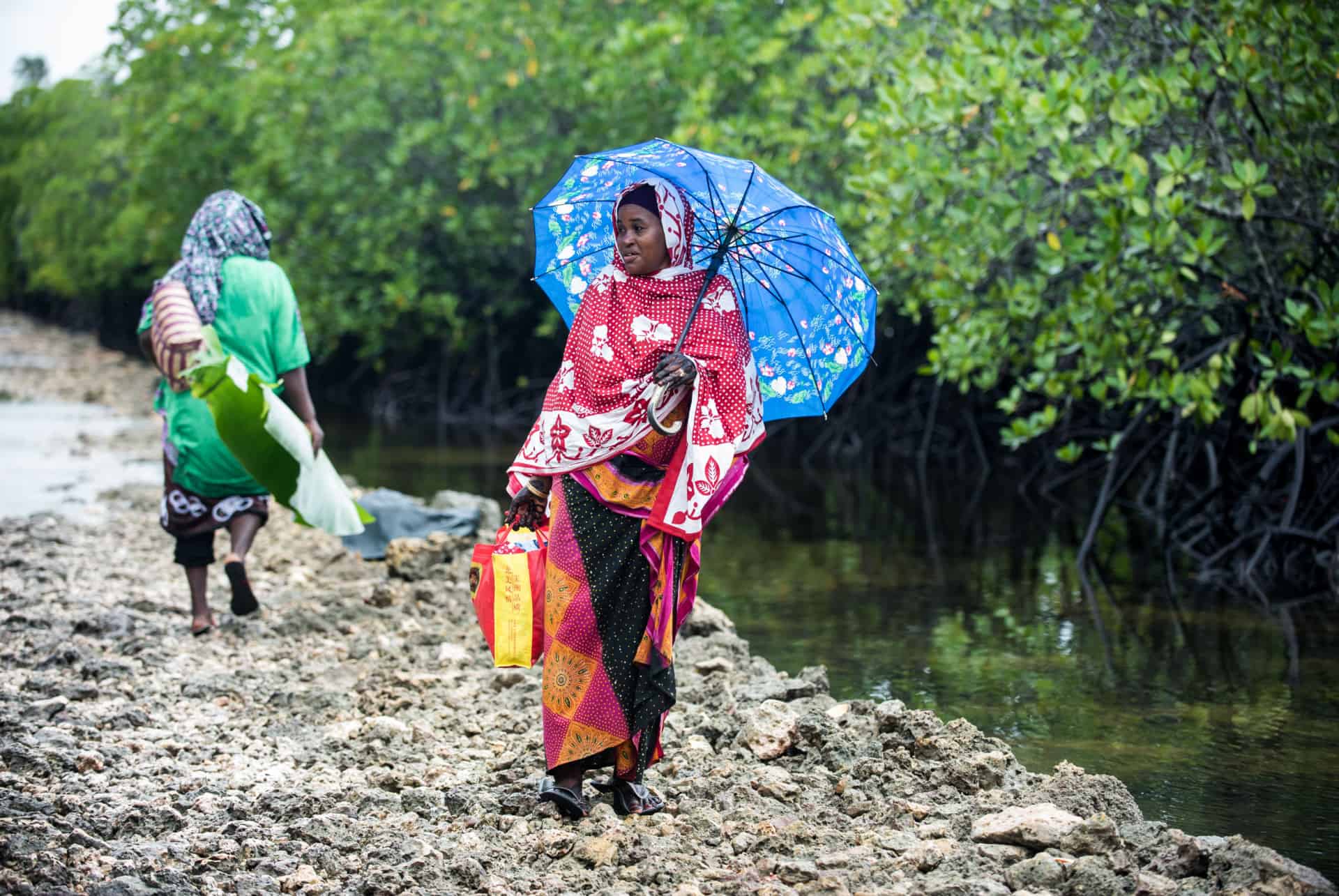 quand partir a zanzibar pluies quand partir a zanzibar pluies