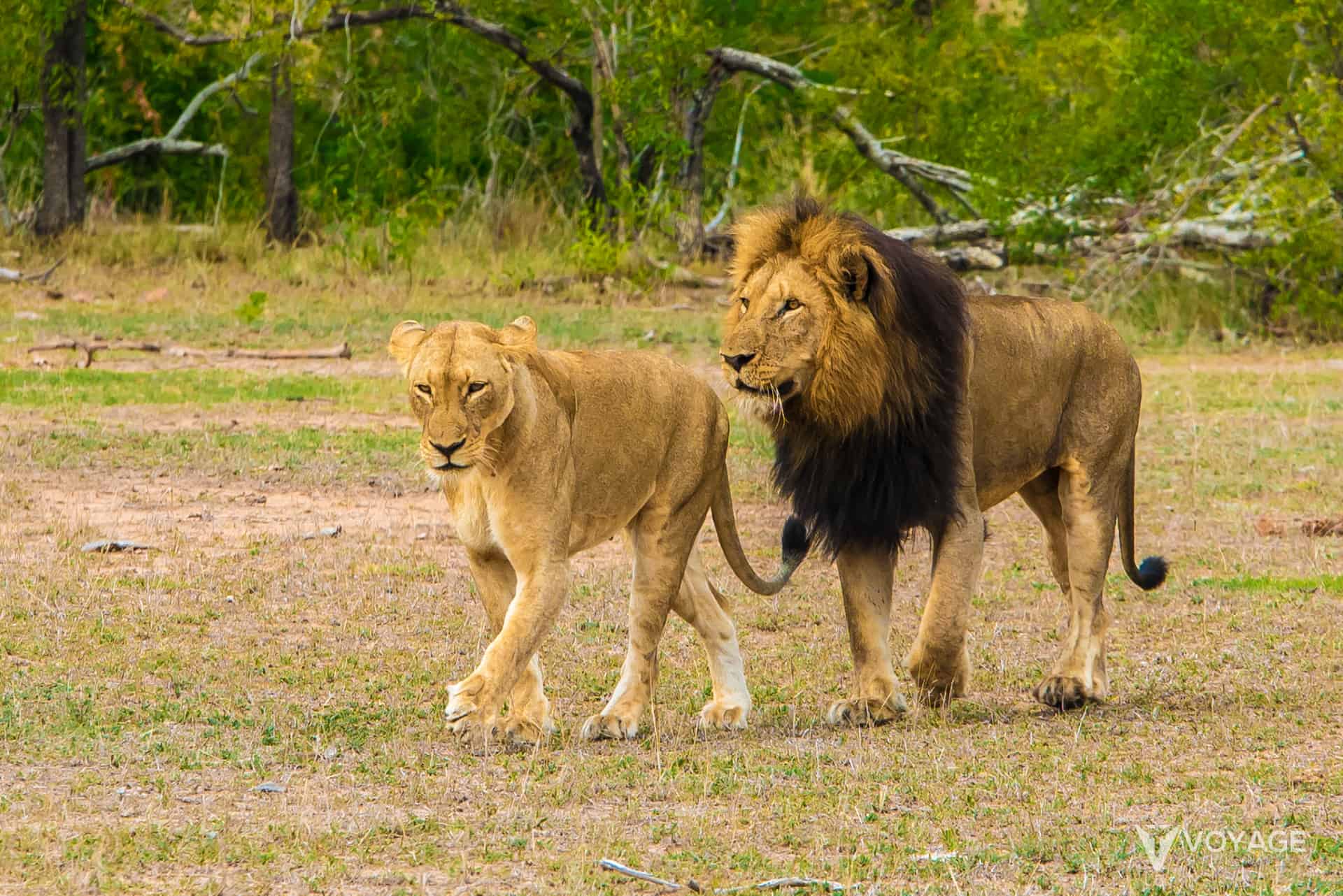 reserve naturelle afrique du sud