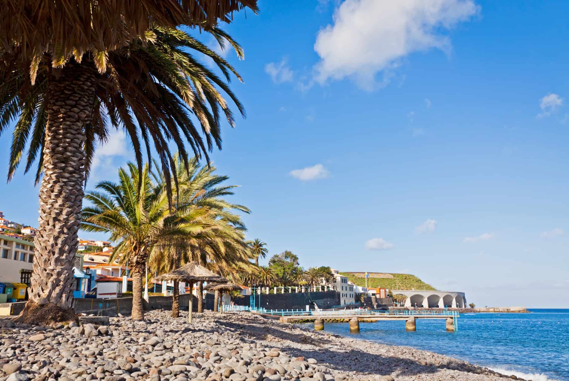 santa cruz madere santa cruz madere
