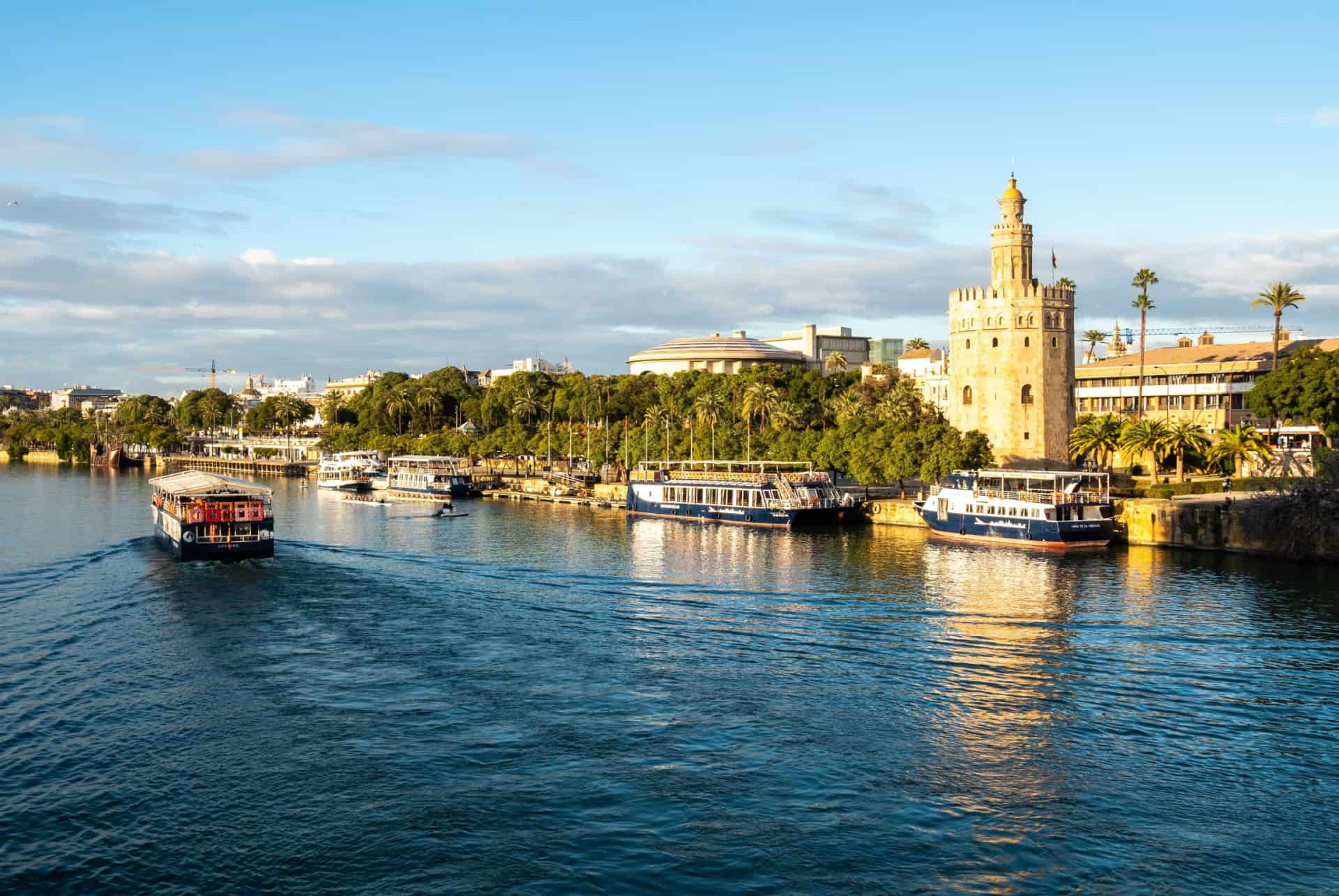 vue torre del oro