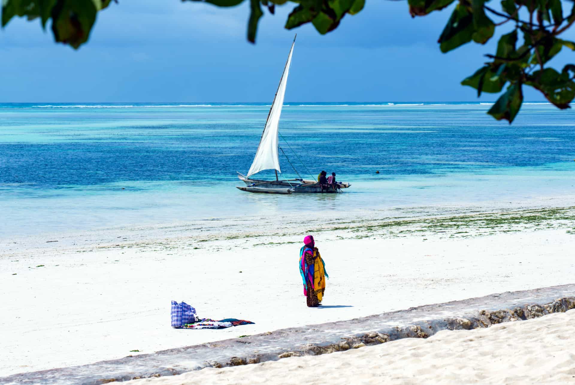 zanzibar seche