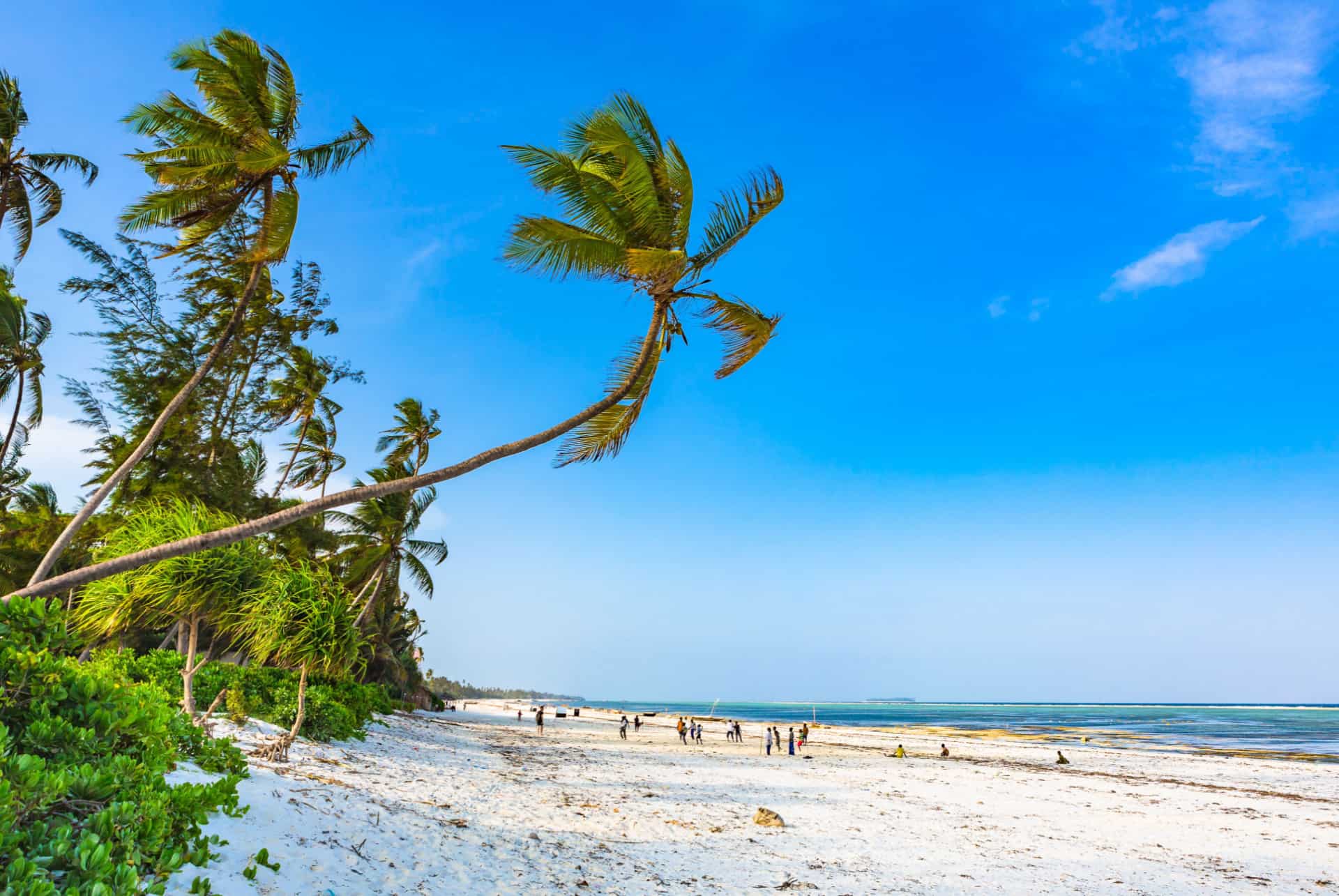 Matemwe plage zanzibar