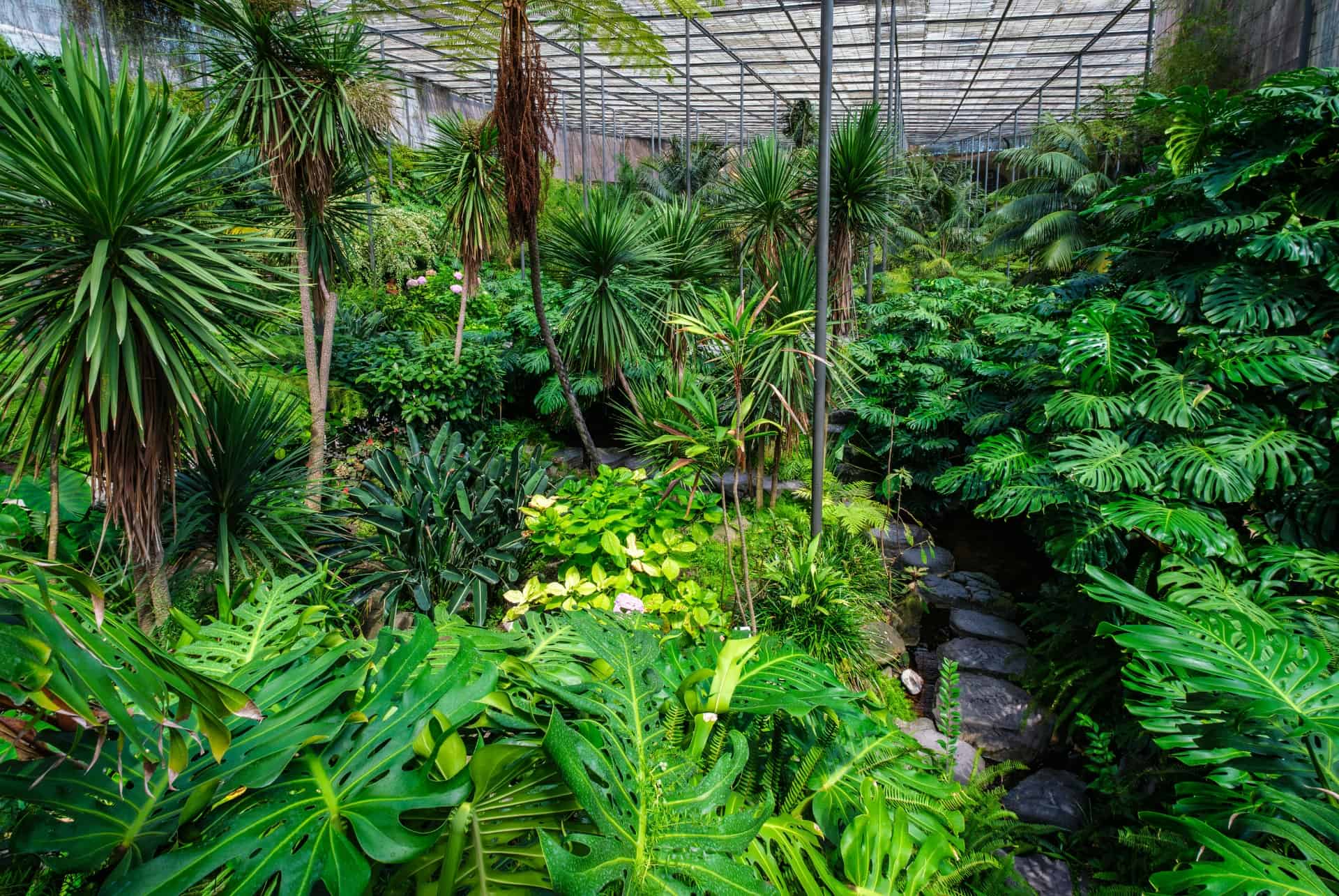 jardin botanique de lisbonne jardin botanique visiter lisbonne 4 jours