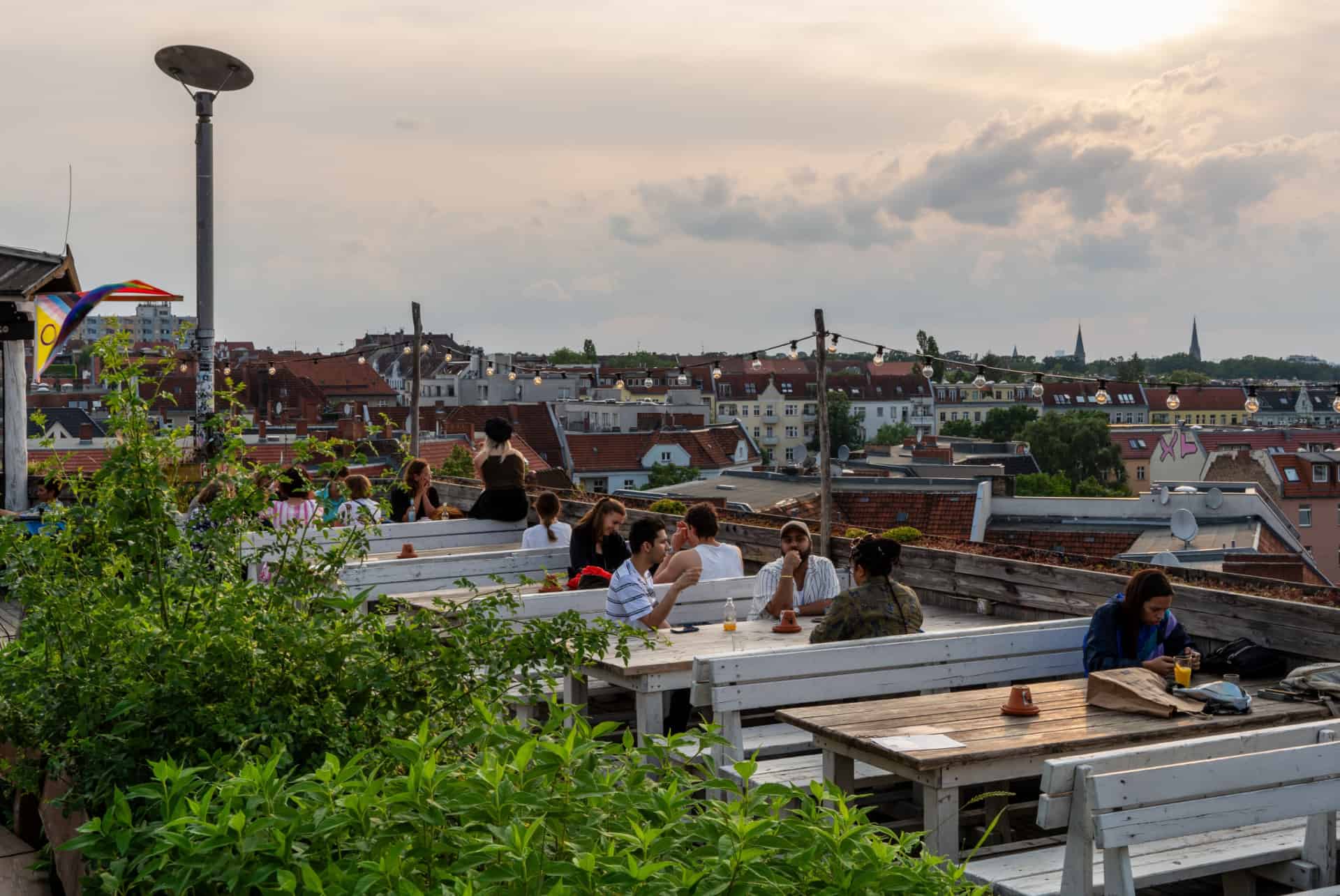 rooftop klunkerkranich