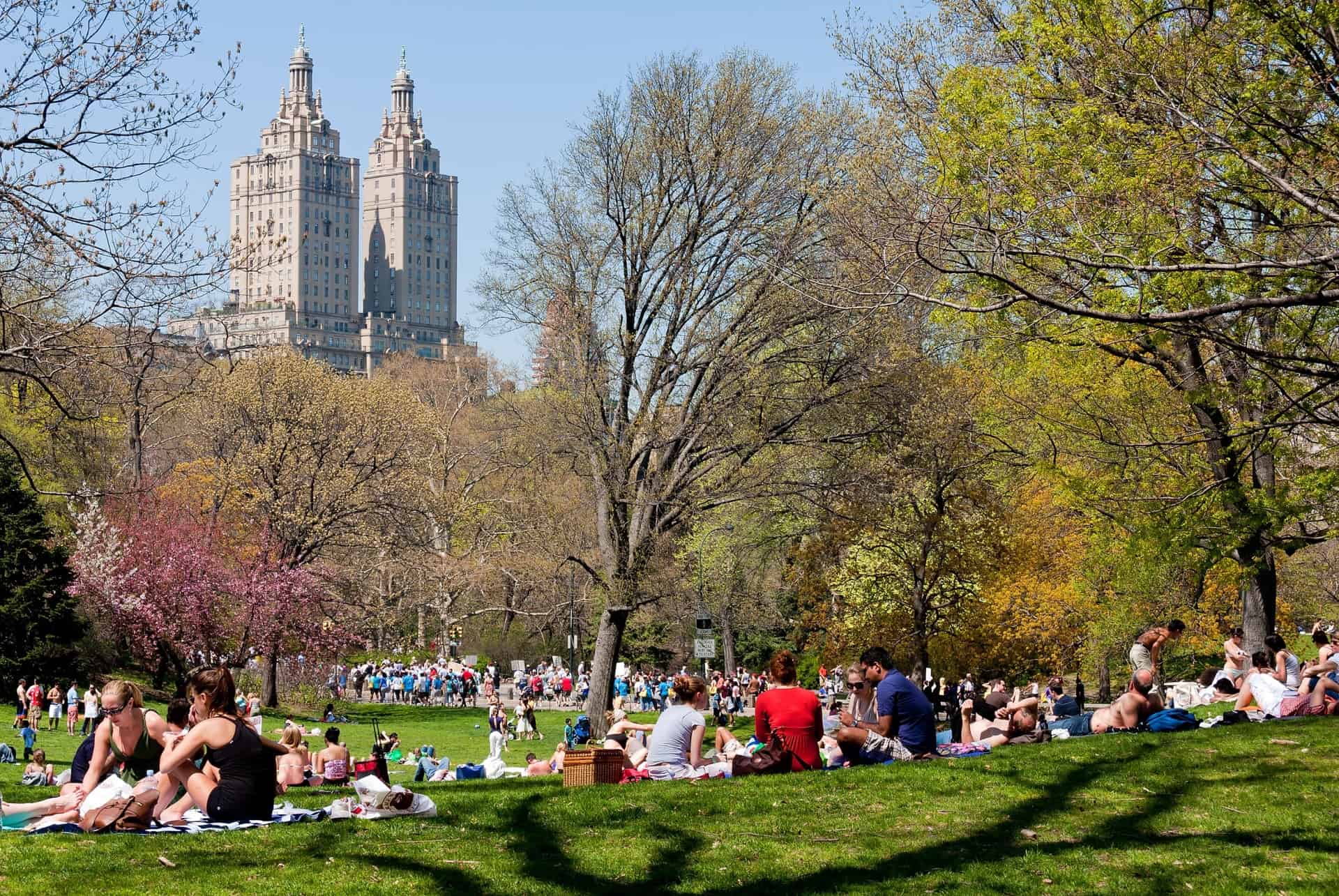 central park en ete central park en ete
