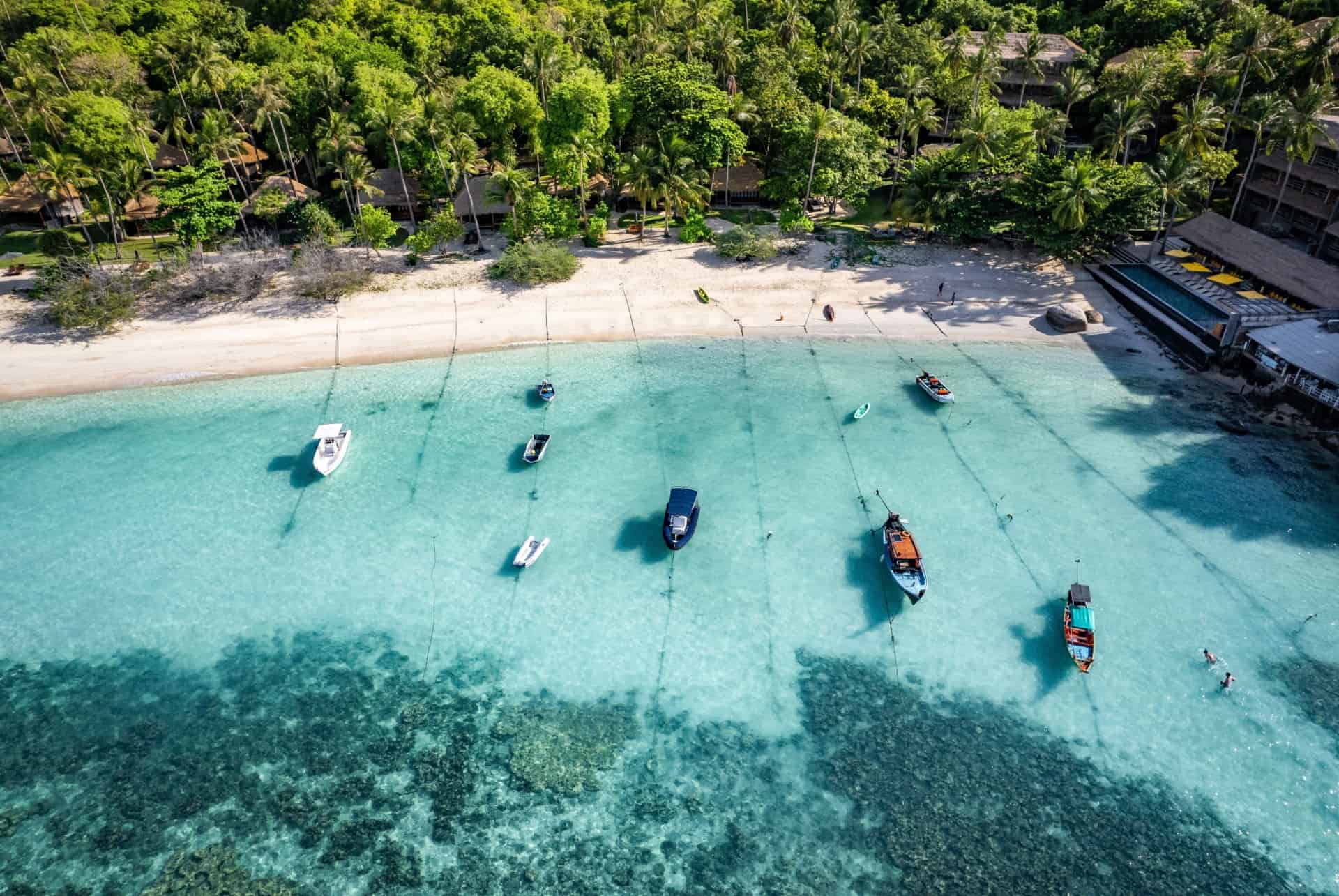 koh tao thailande mai