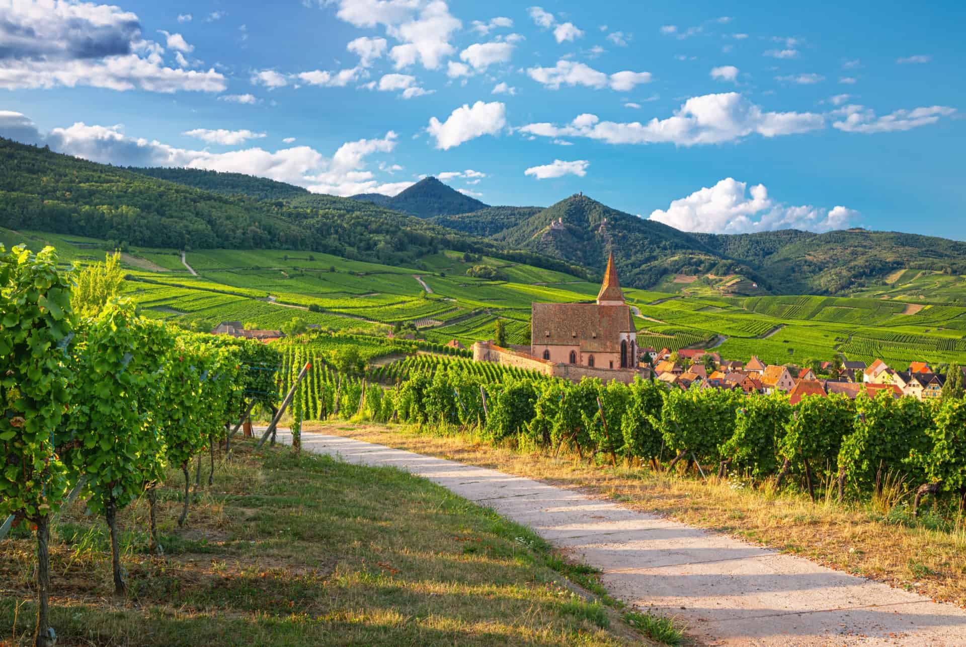 route des vins alsace route des vins alsace