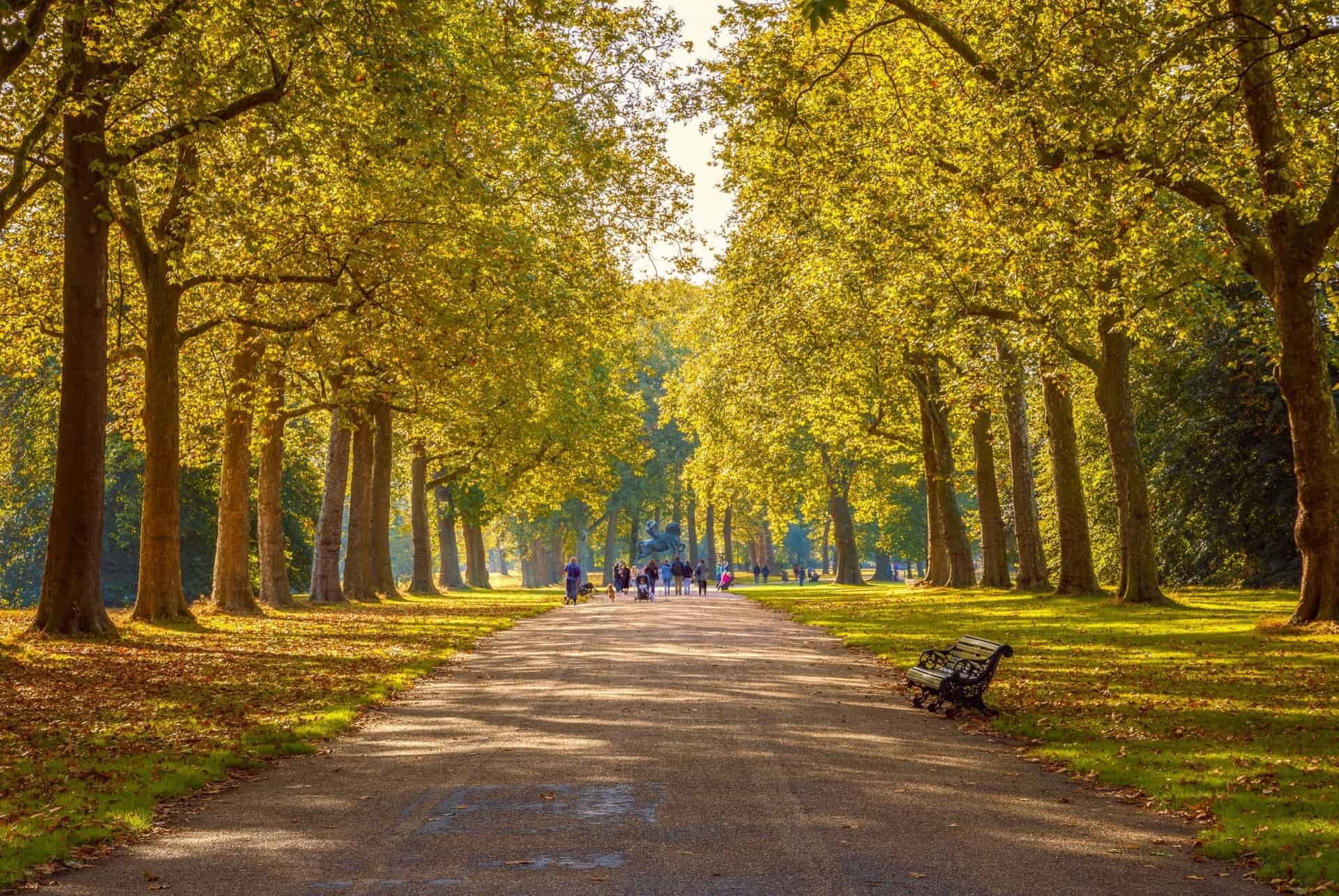 allee parc londres allee parc londres