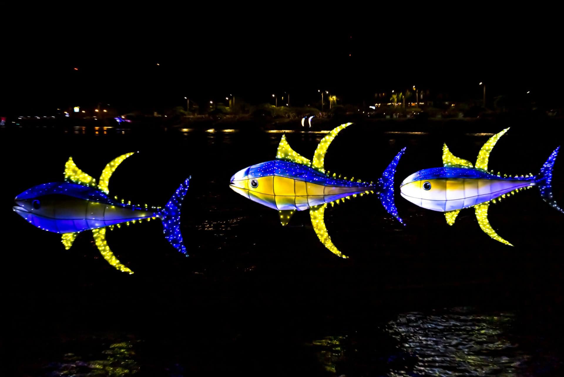 fete des lumieres costa rica