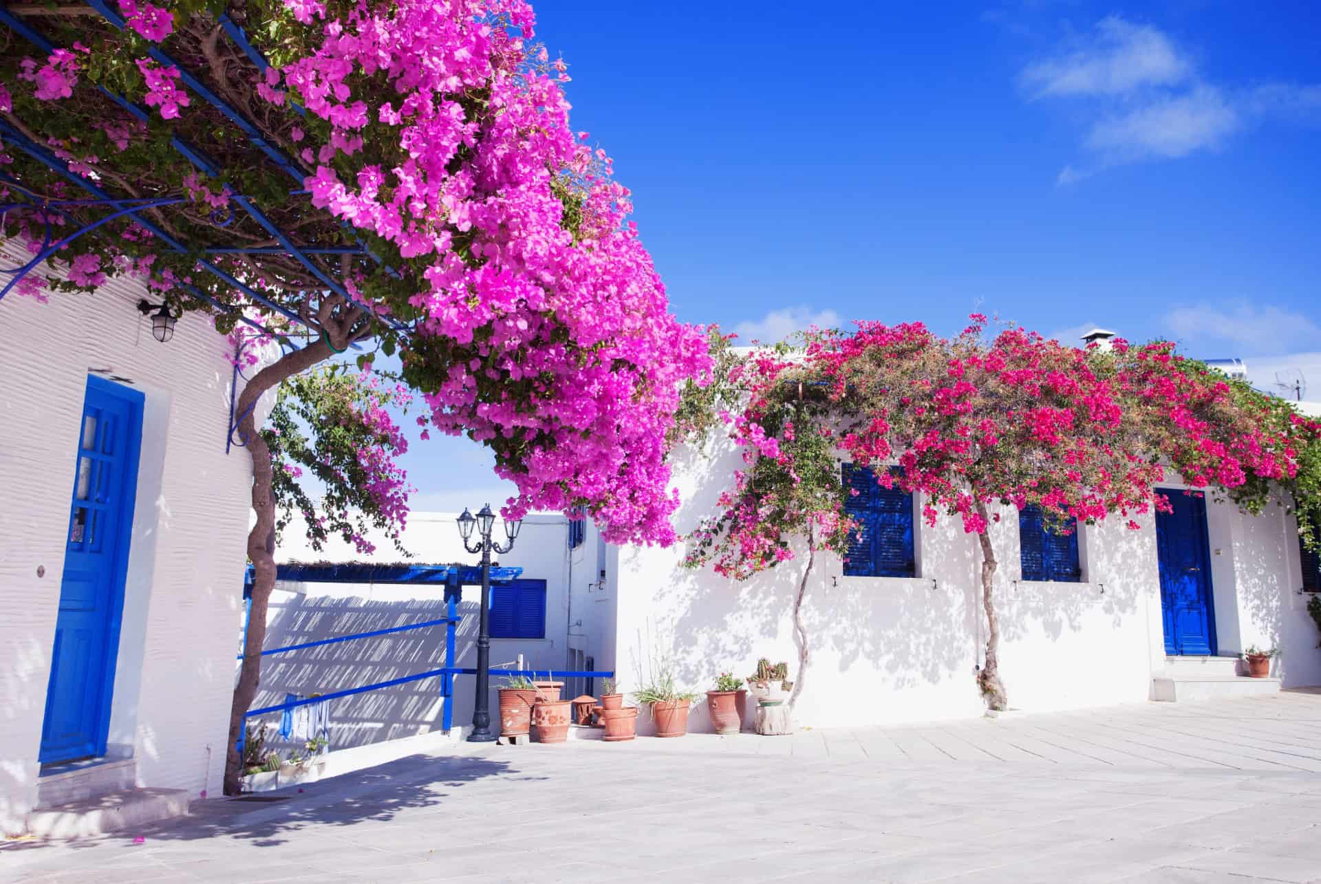 printemps en grece printemps en grece