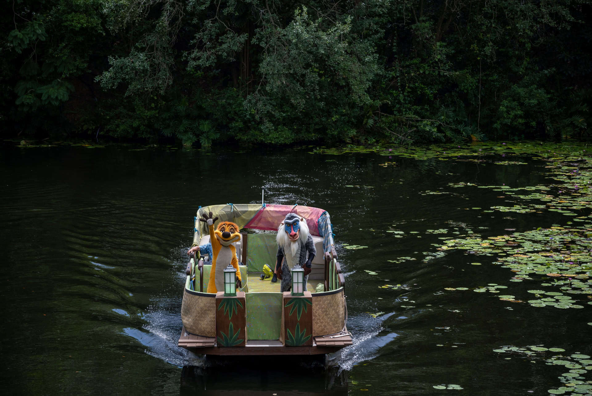 animal kingdom timon et rafiki