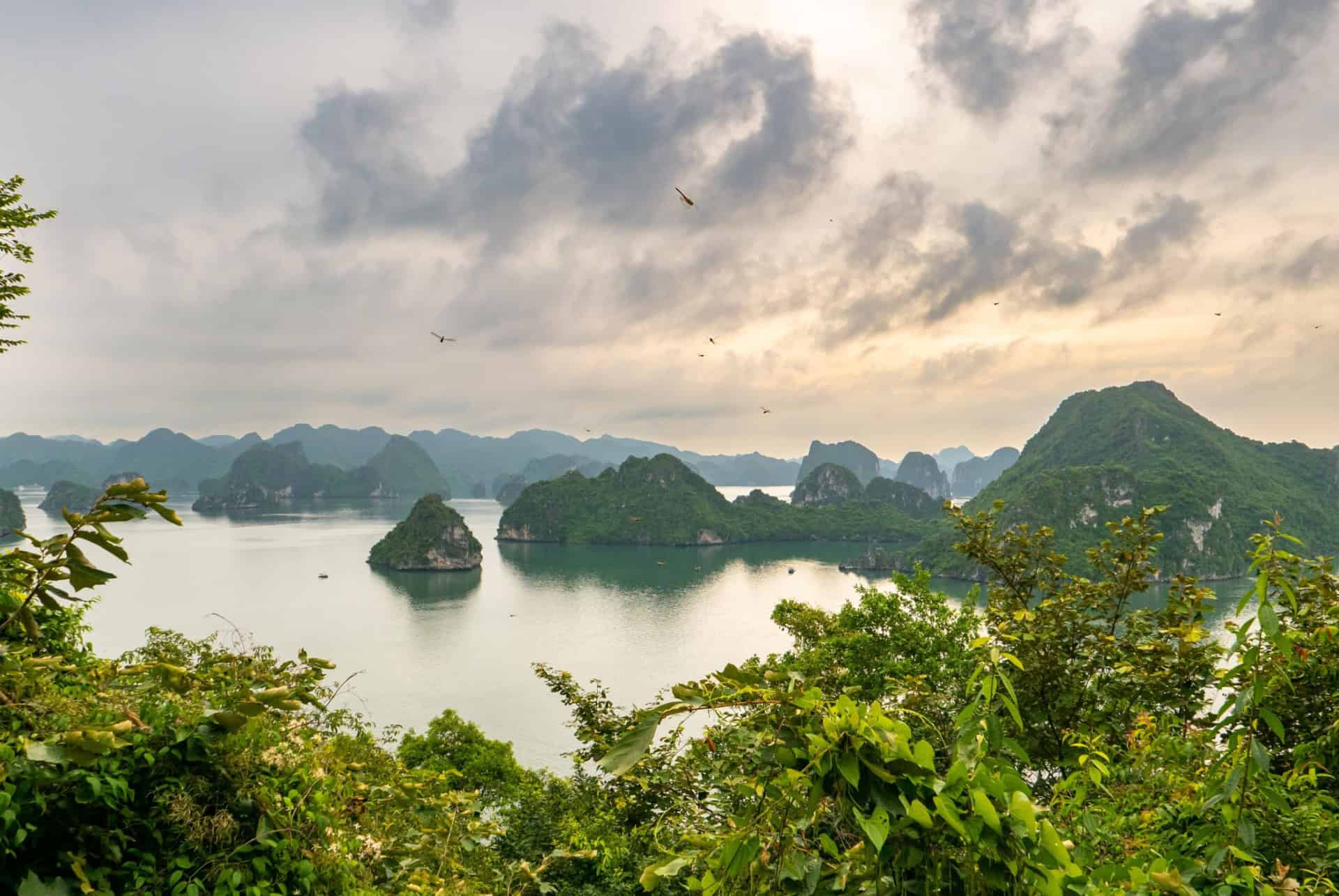 climat vietnam en aout climat vietnam en aout