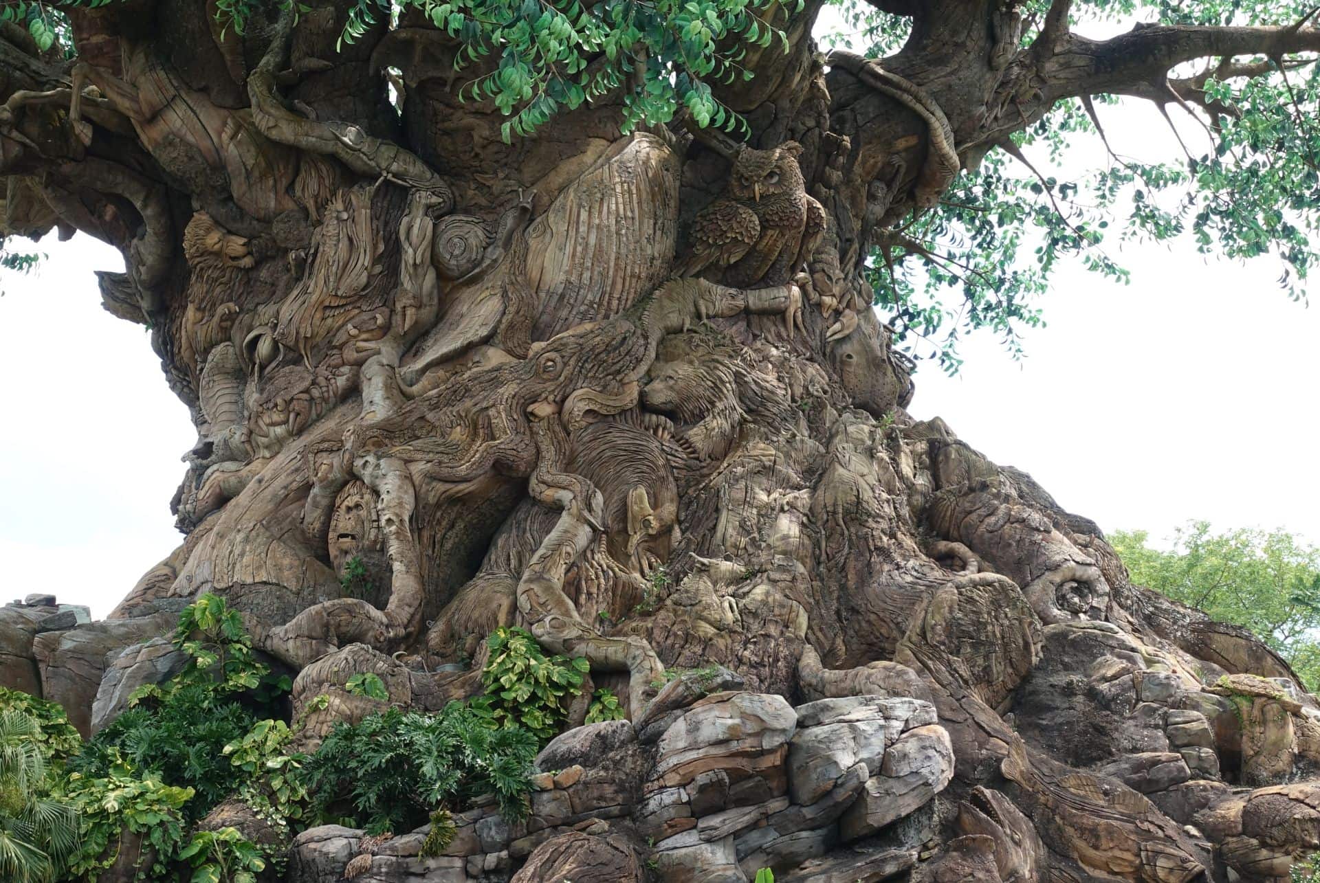 disneys anima