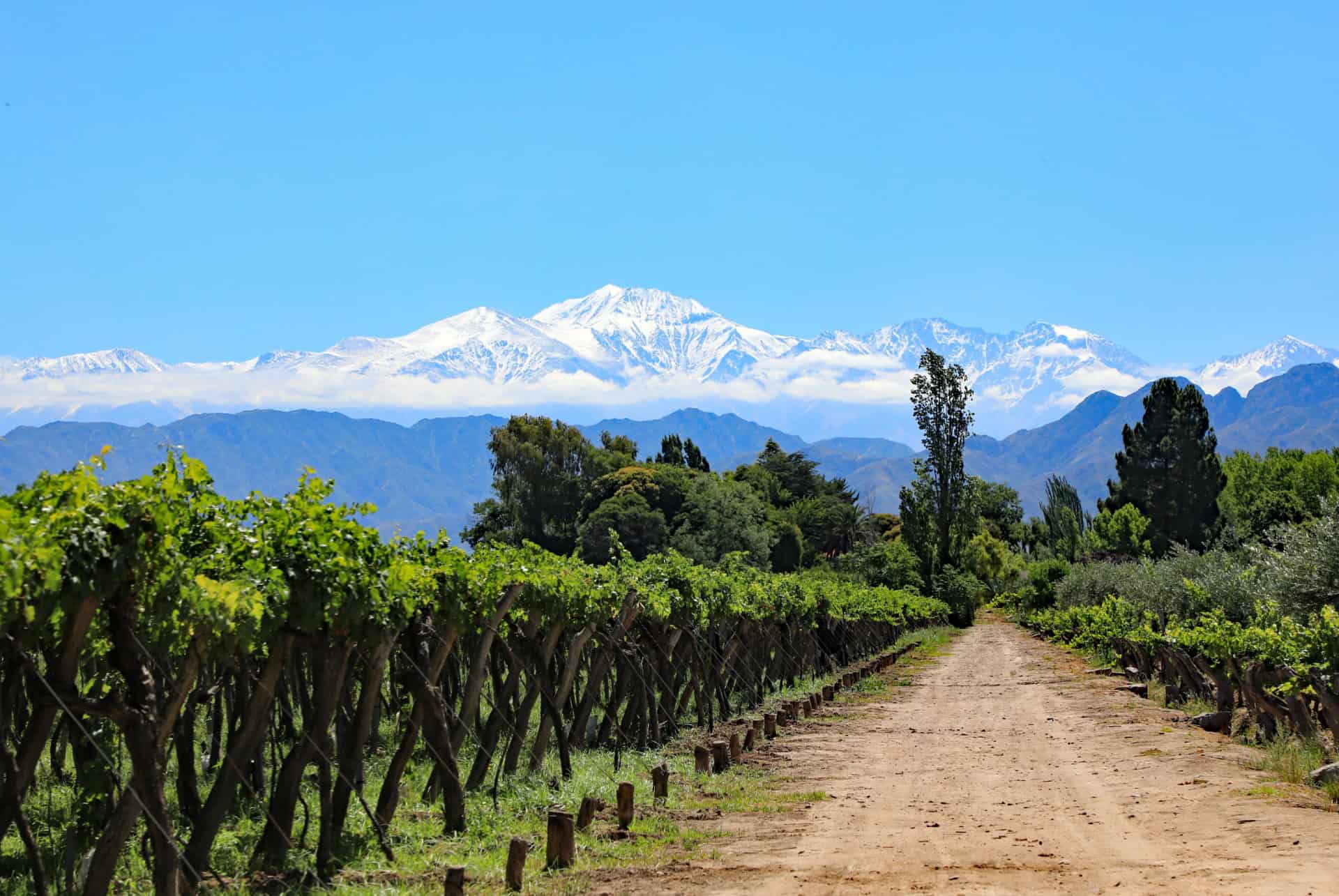 lujan de cuyo vignes lujan de cuyo vignes