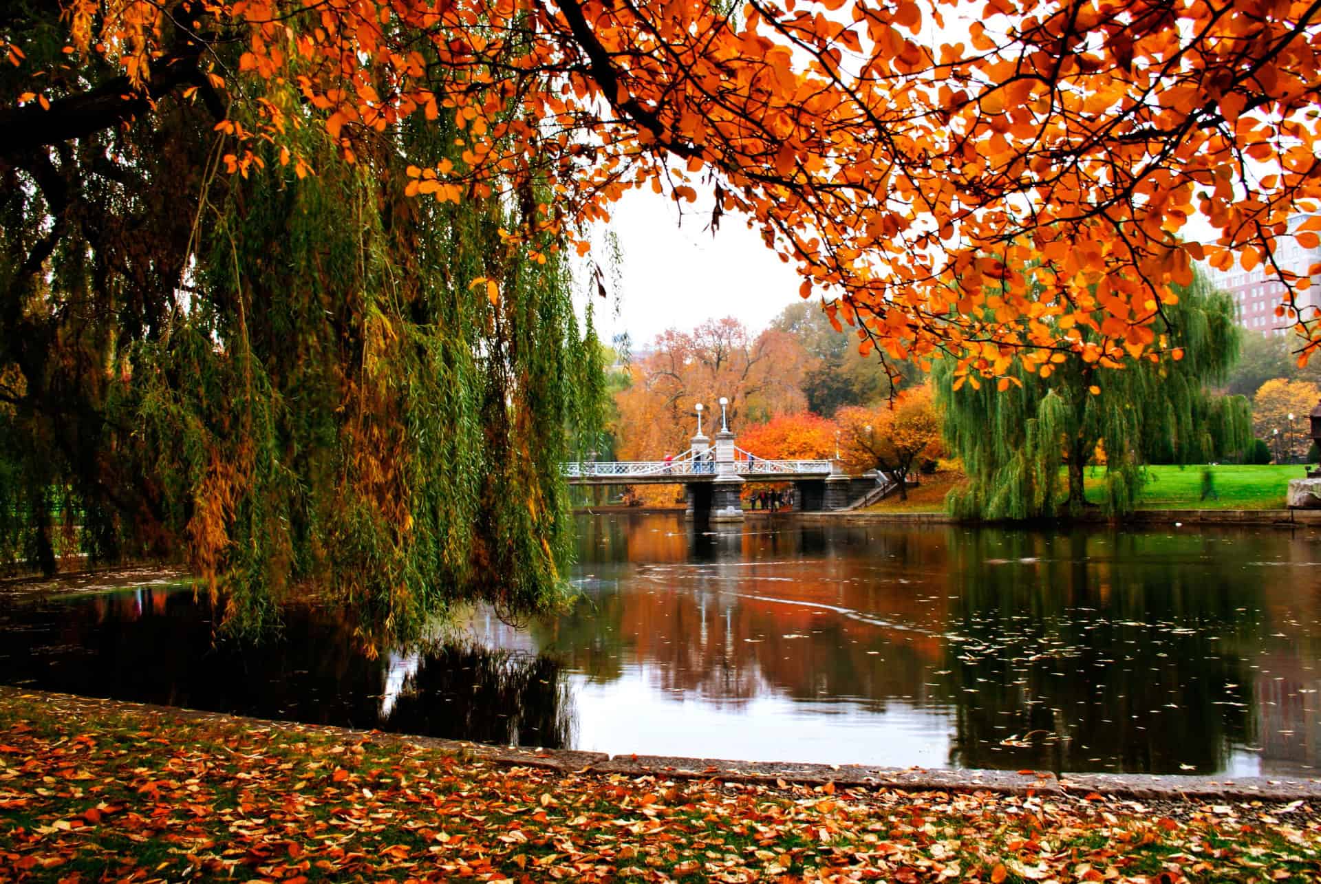 quand partir boston automne quand partir boston automne