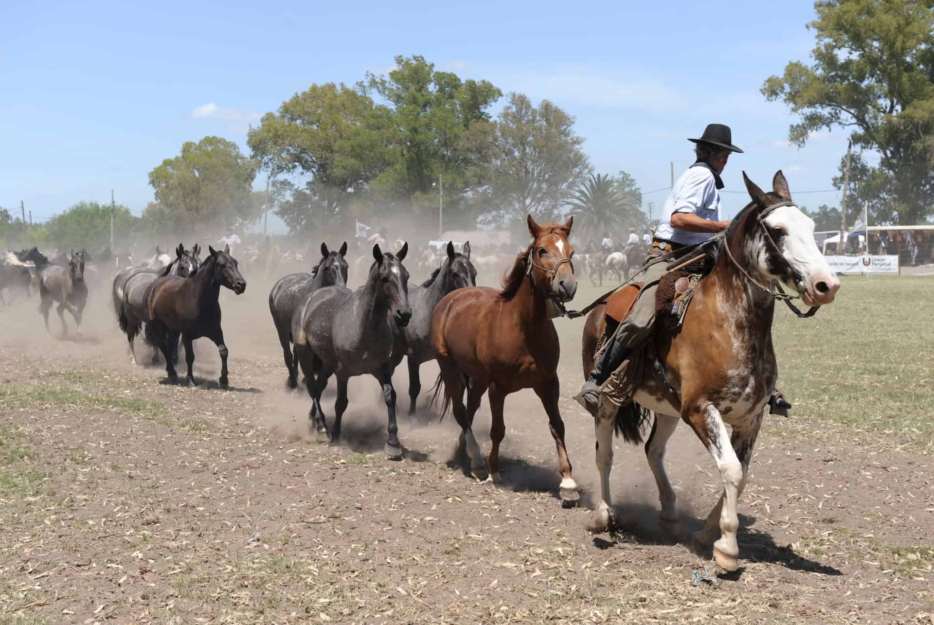 ranch gaucho journee ranch gaucho journee