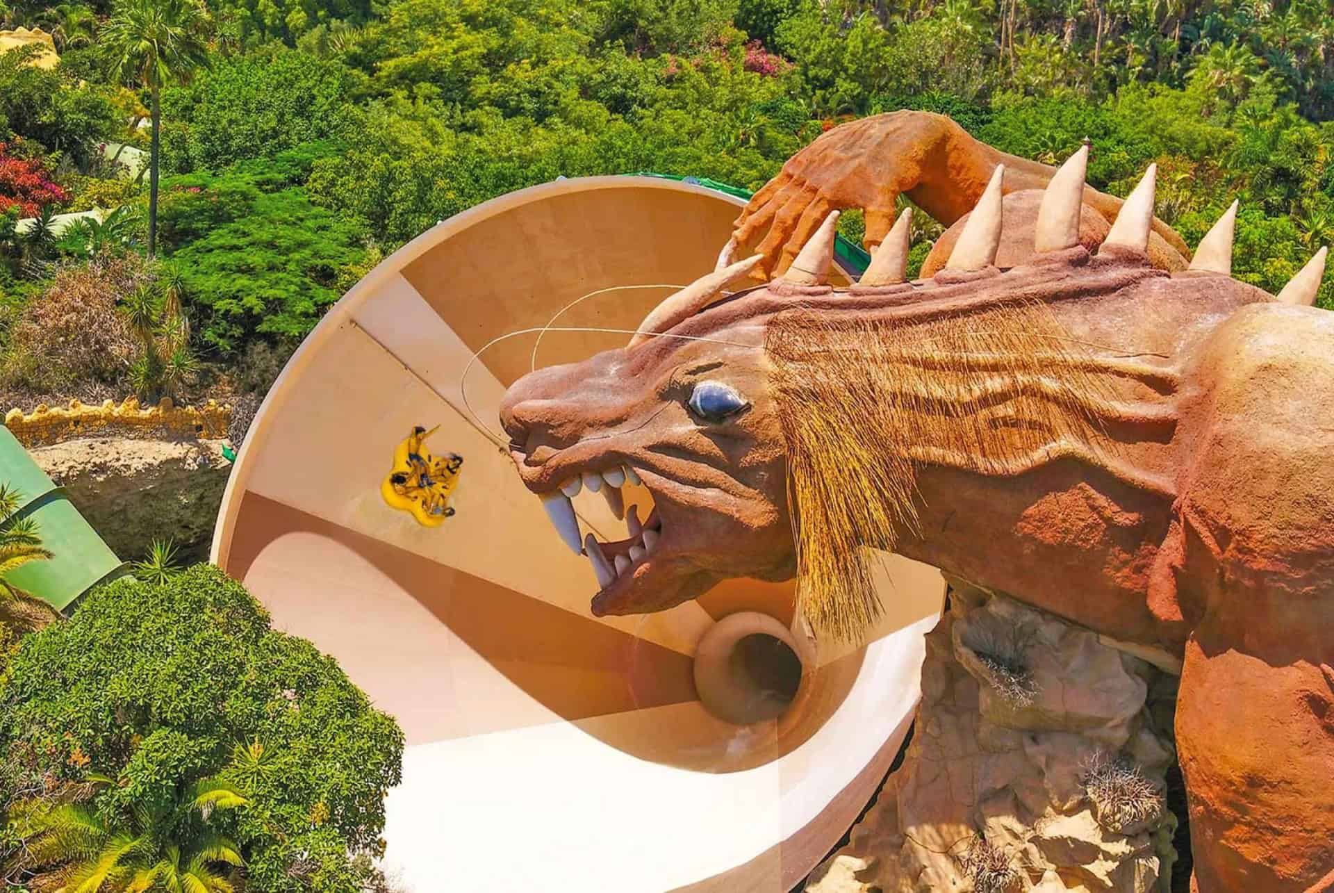 dragon dragon