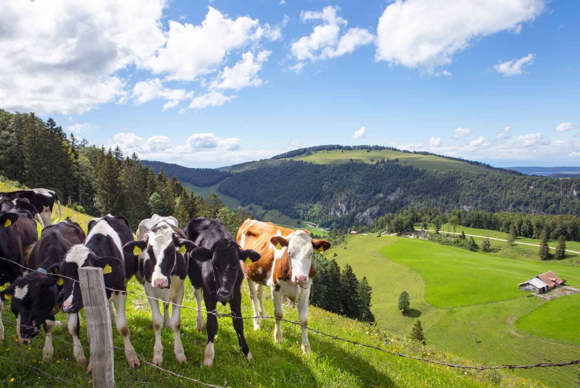 quand visiter le jura quand visiter le jura