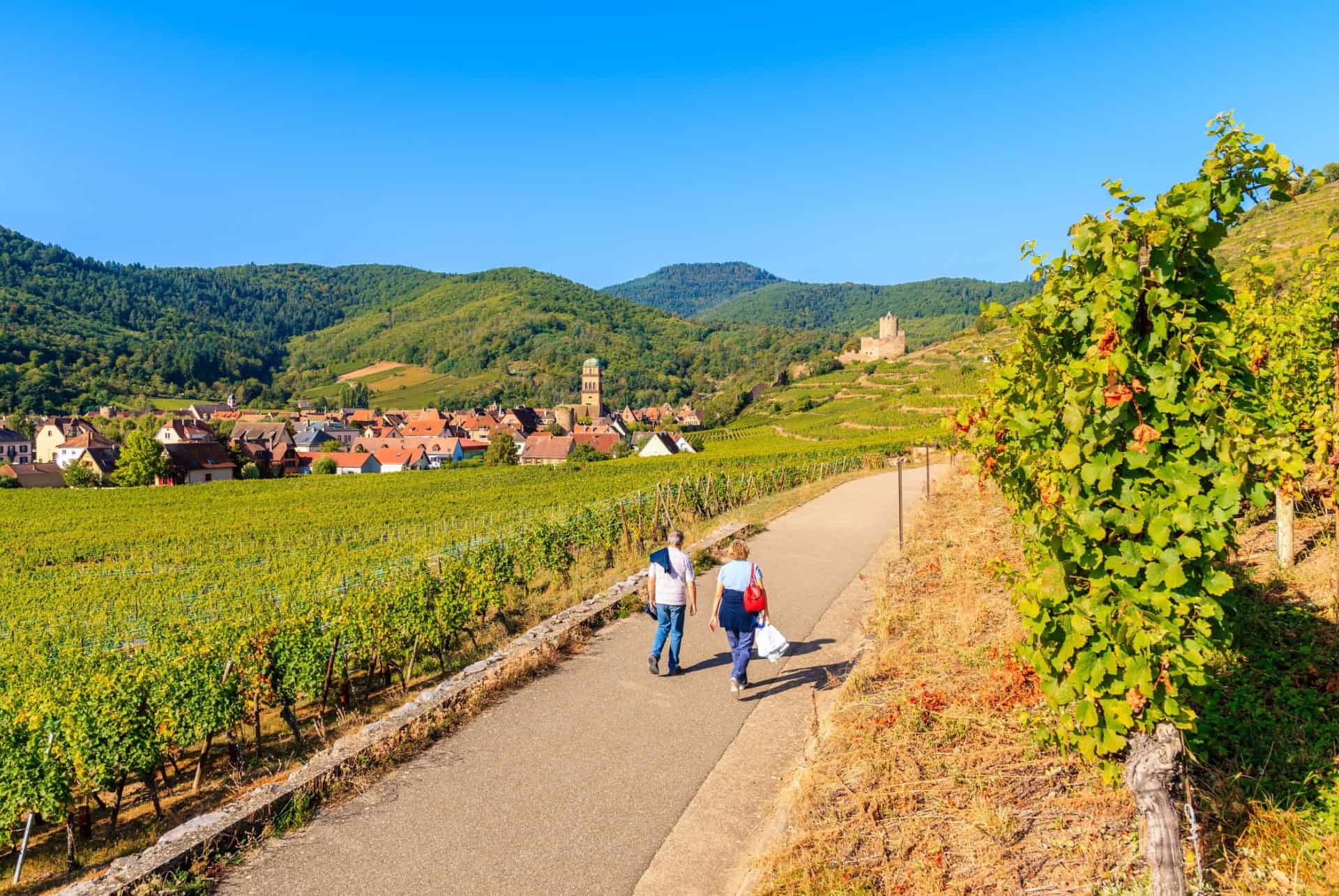 route des vins randonnee route des vins randonnee