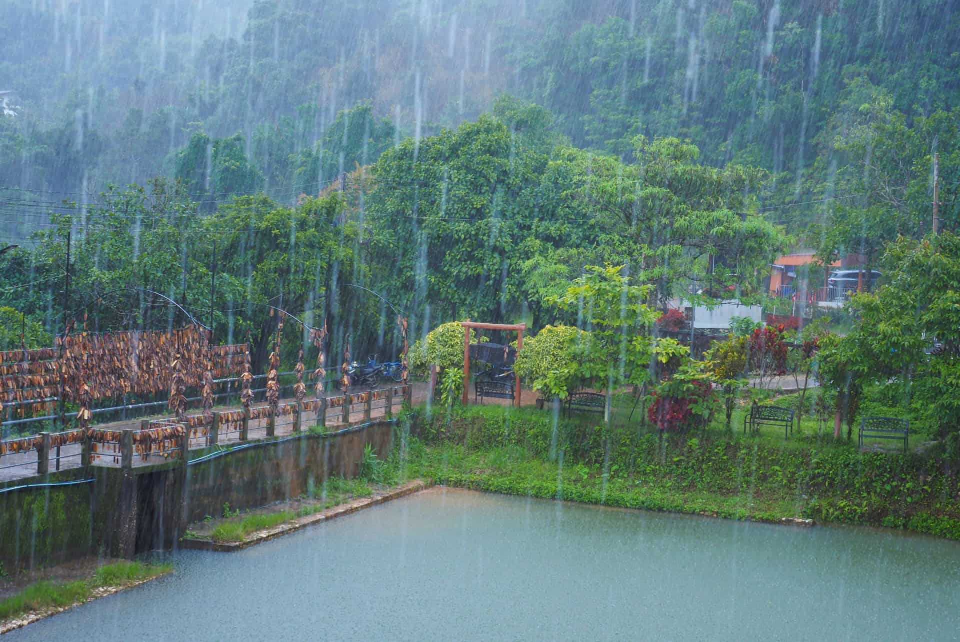 thailande en aout pluie thailande en aout pluie