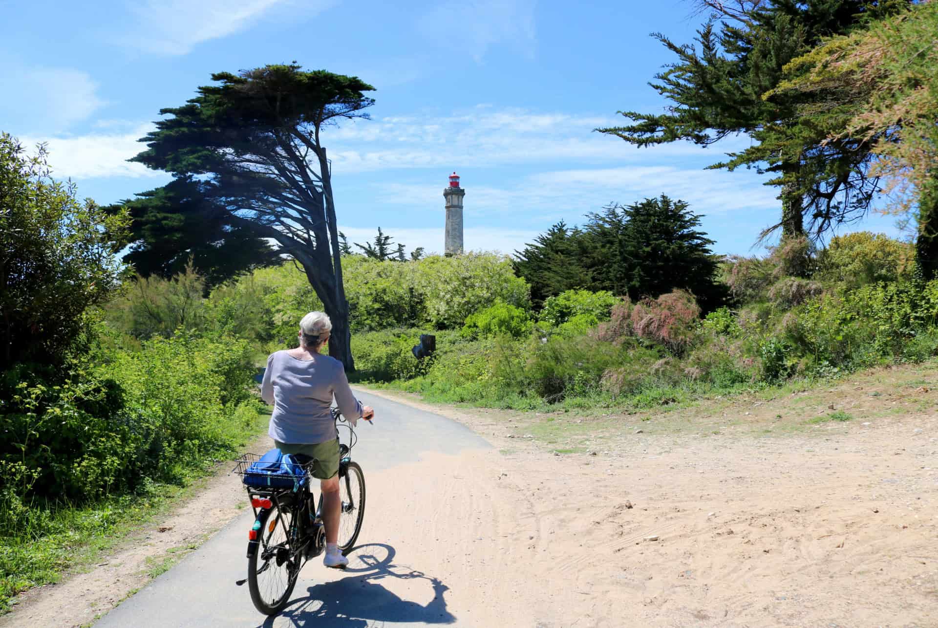 visiter ile de re velo visiter ile de re velo