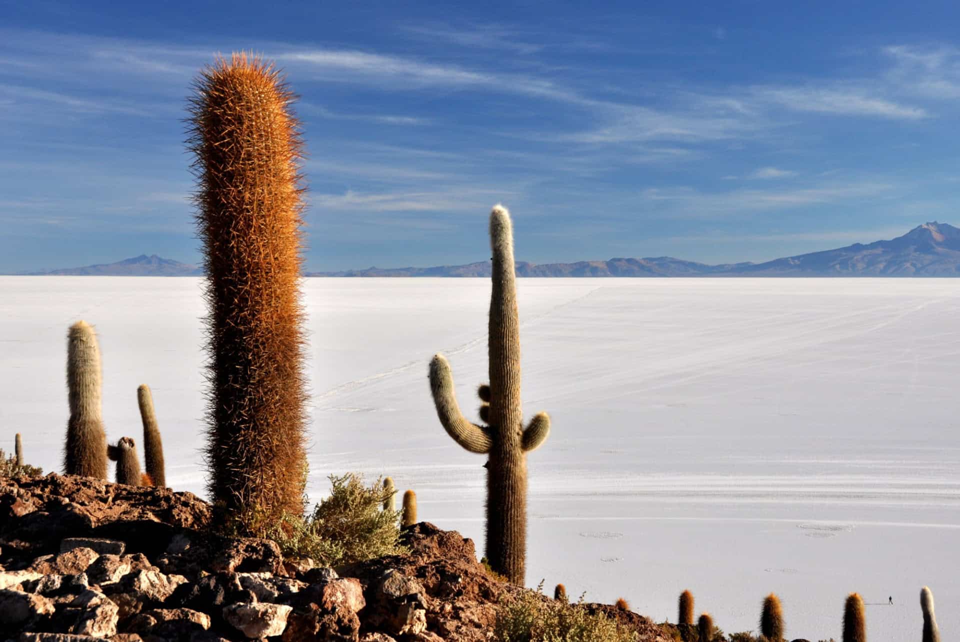salar uyuni salar uyuni