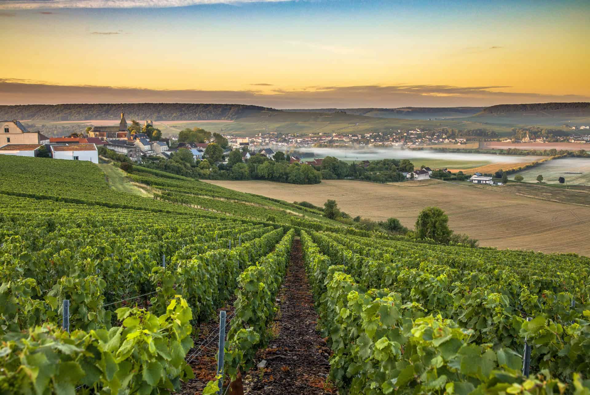 vignes reims 2 jours vignes reims 2 jours