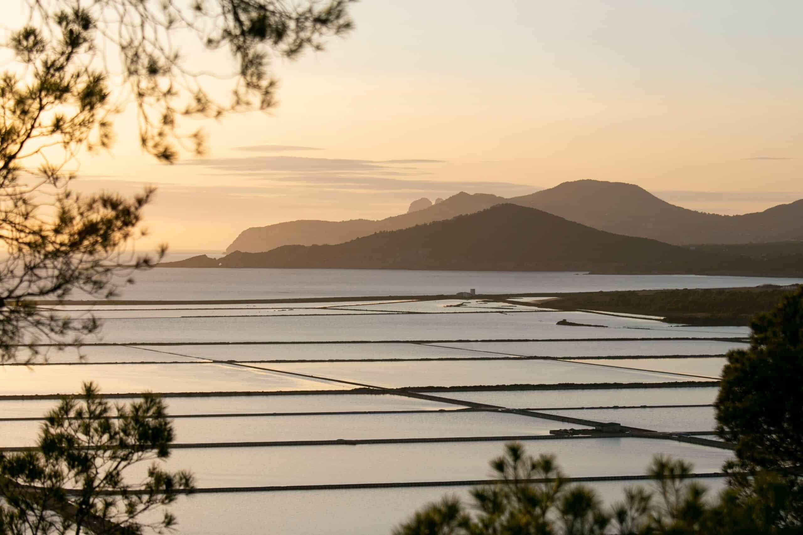 salinas que faire à ibiza salinas que faire à ibiza