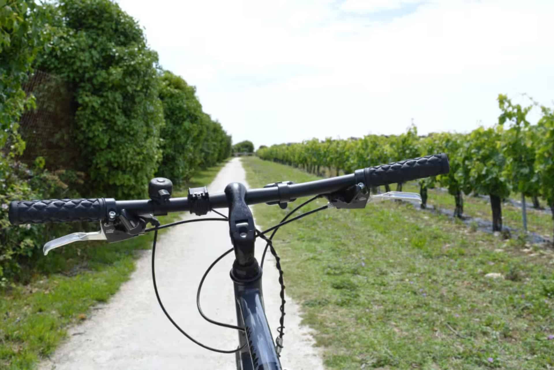 velo ile de re velo ile de re