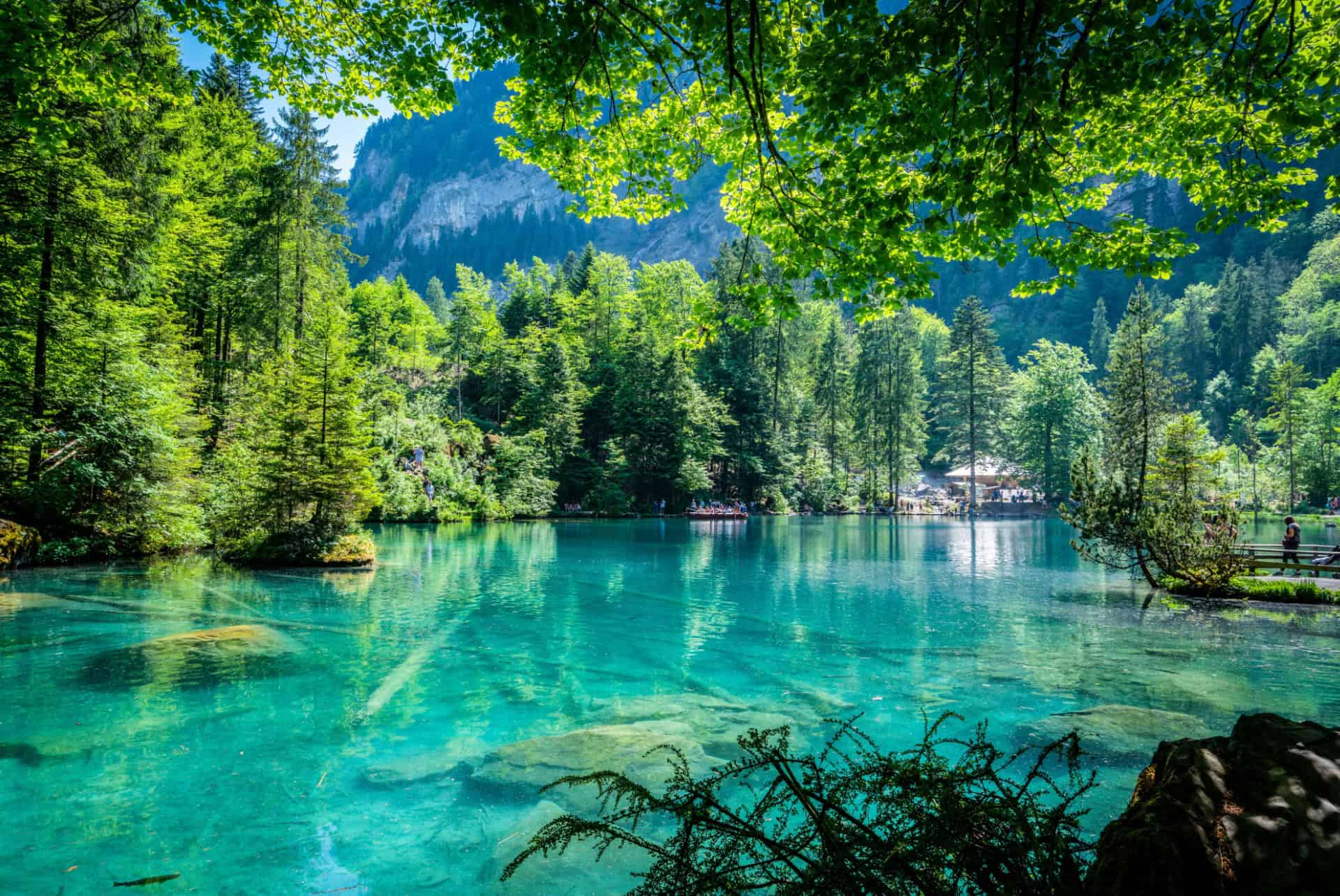 lac blausee plus beaux lacs suisse lac blausee