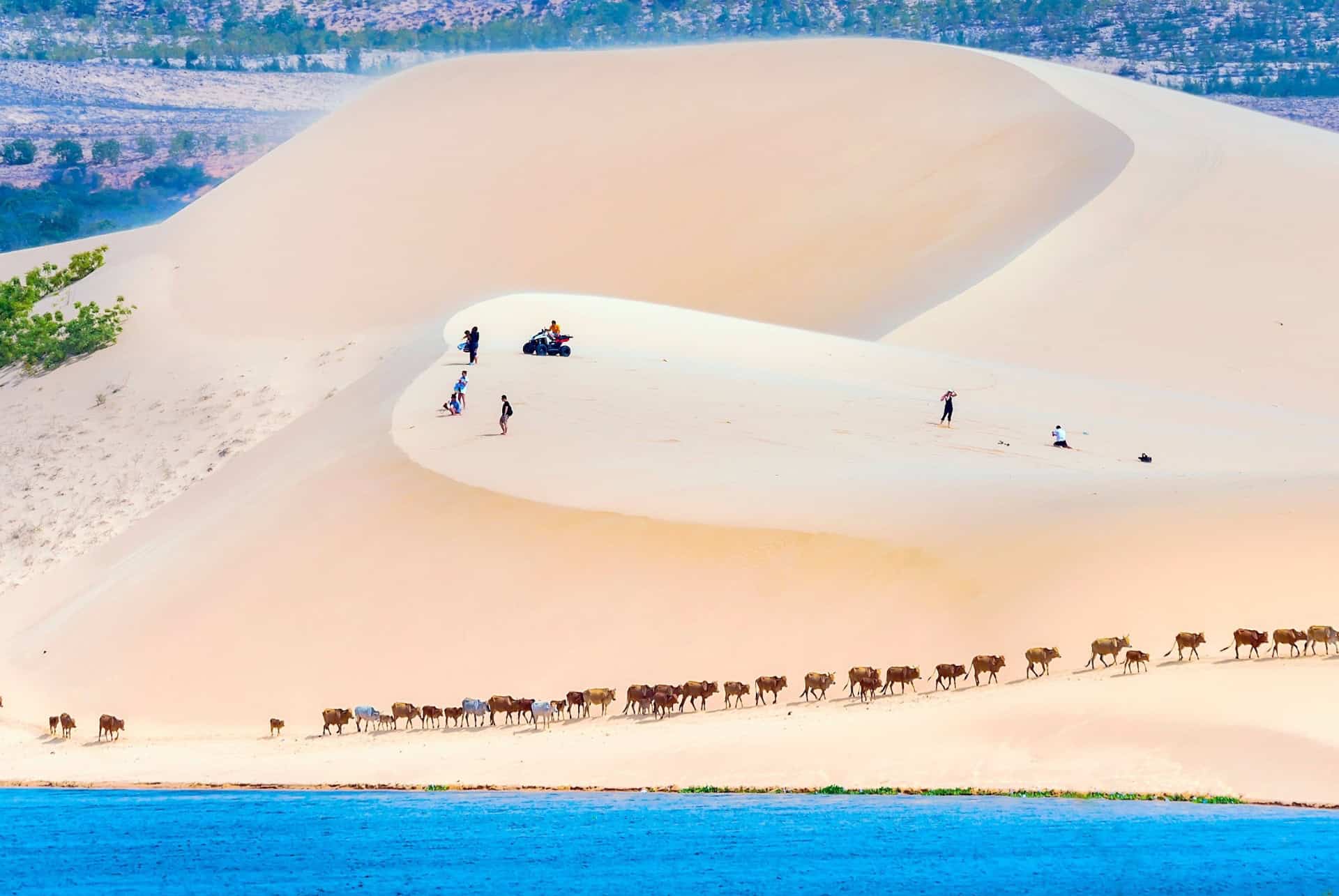 dunes de sables de mui ne vietnam dunes de sables de mui ne vietnam
