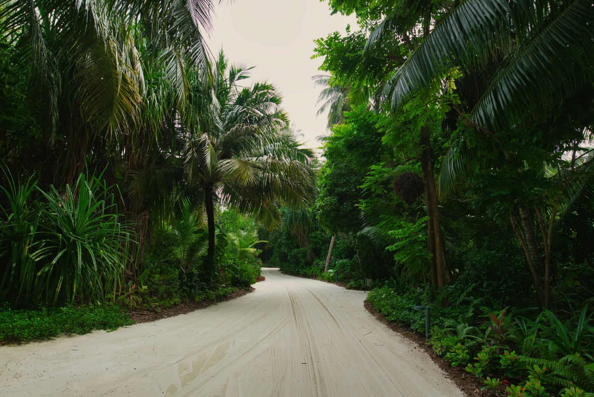 randonnee maldives randonnee maldives