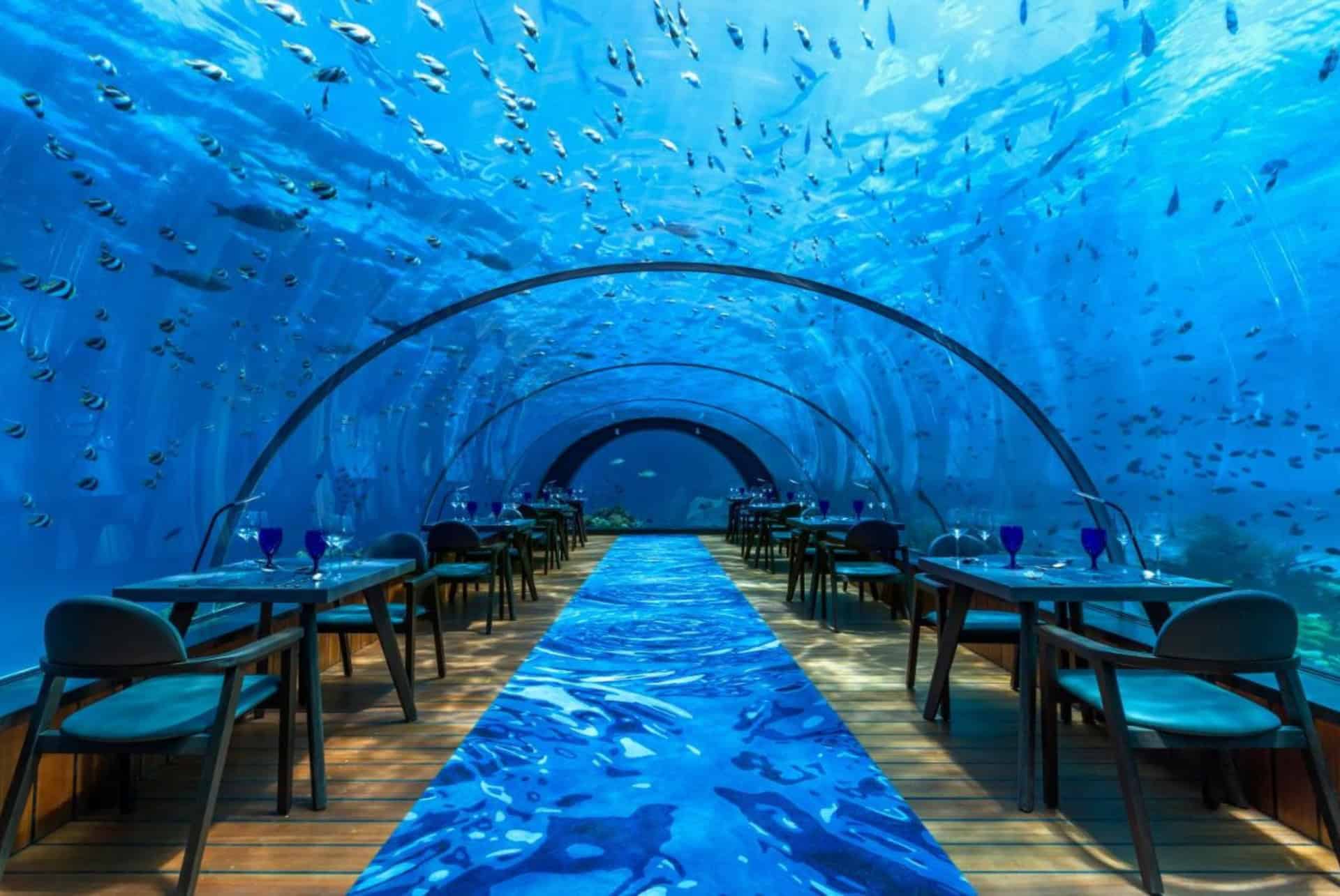 restaurant hotel hurawalhi maldives restaurant hotel hurawalhi maldives